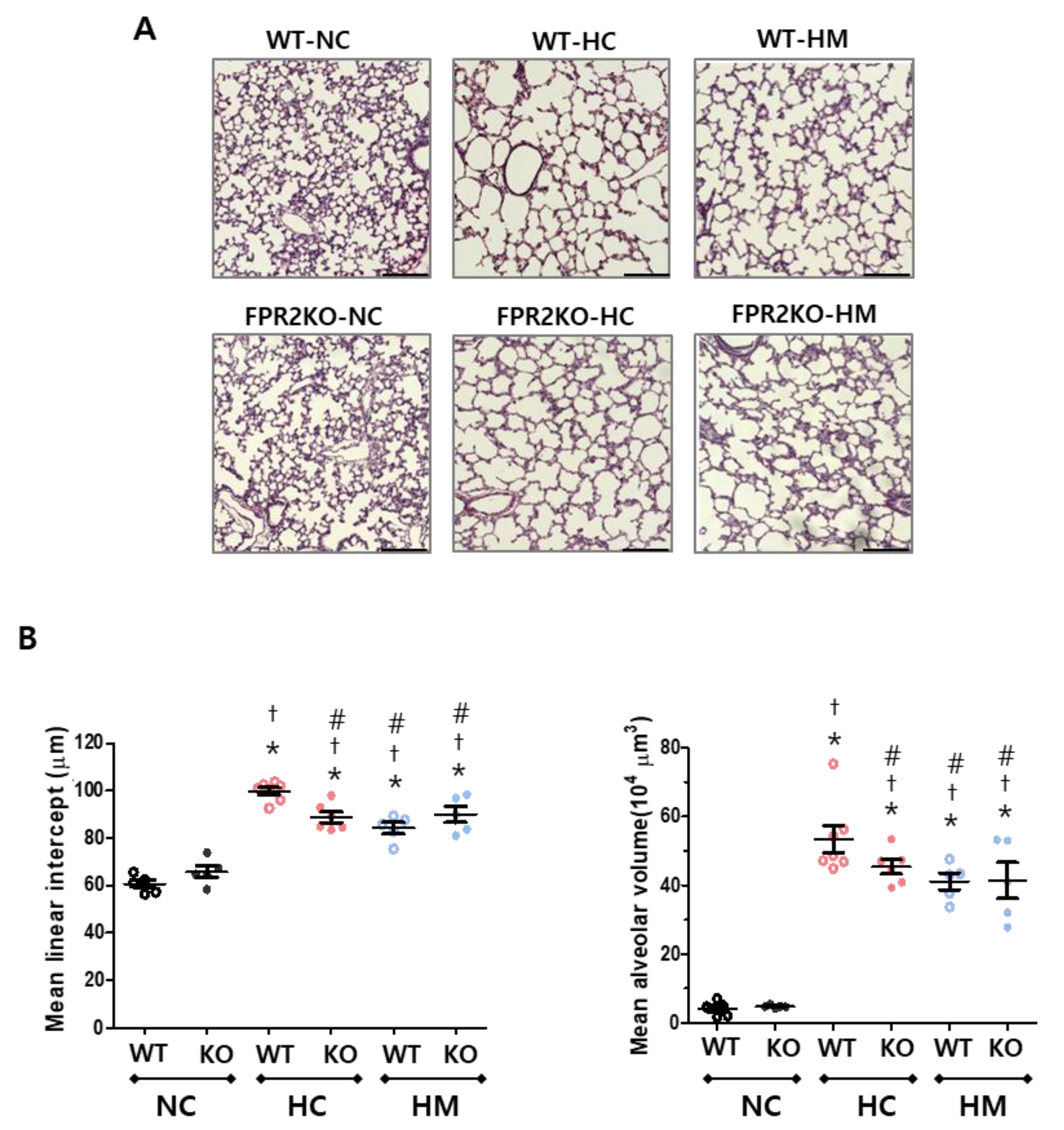 Ijms 23 10604 g003 550