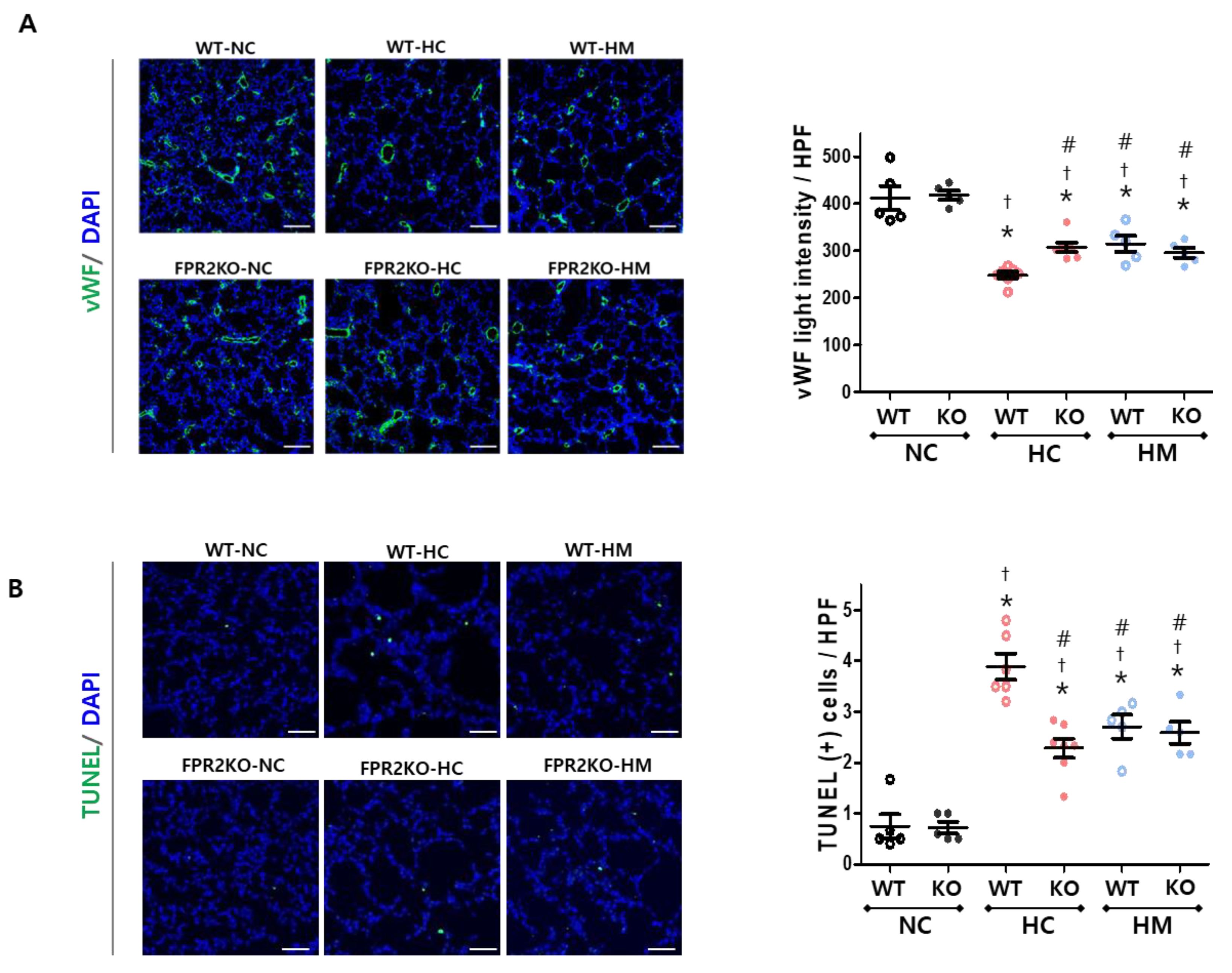Ijms 23 10604 g004 550
