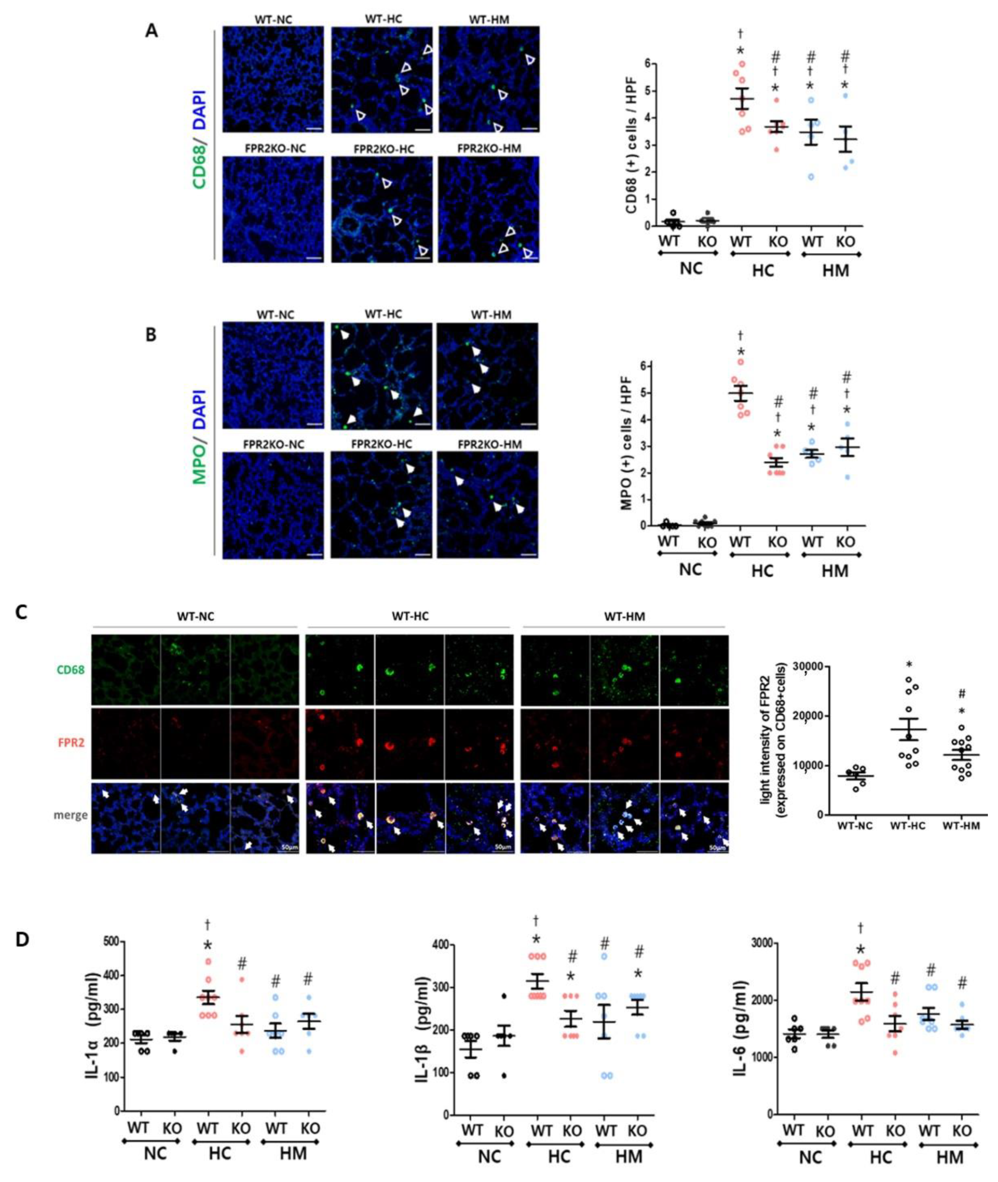 Ijms 23 10604 g005 550
