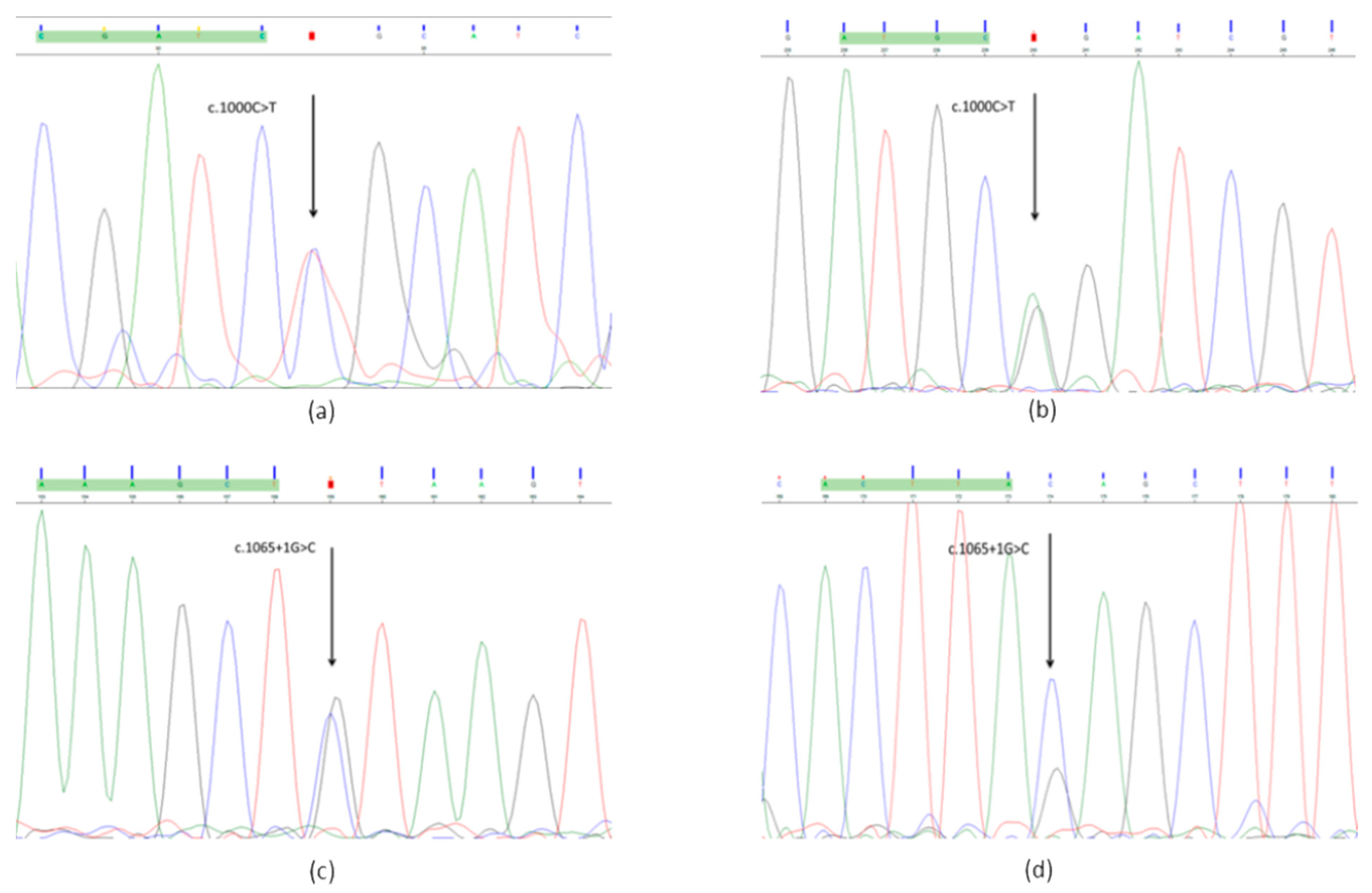 Ijms 23 10606 g001 550