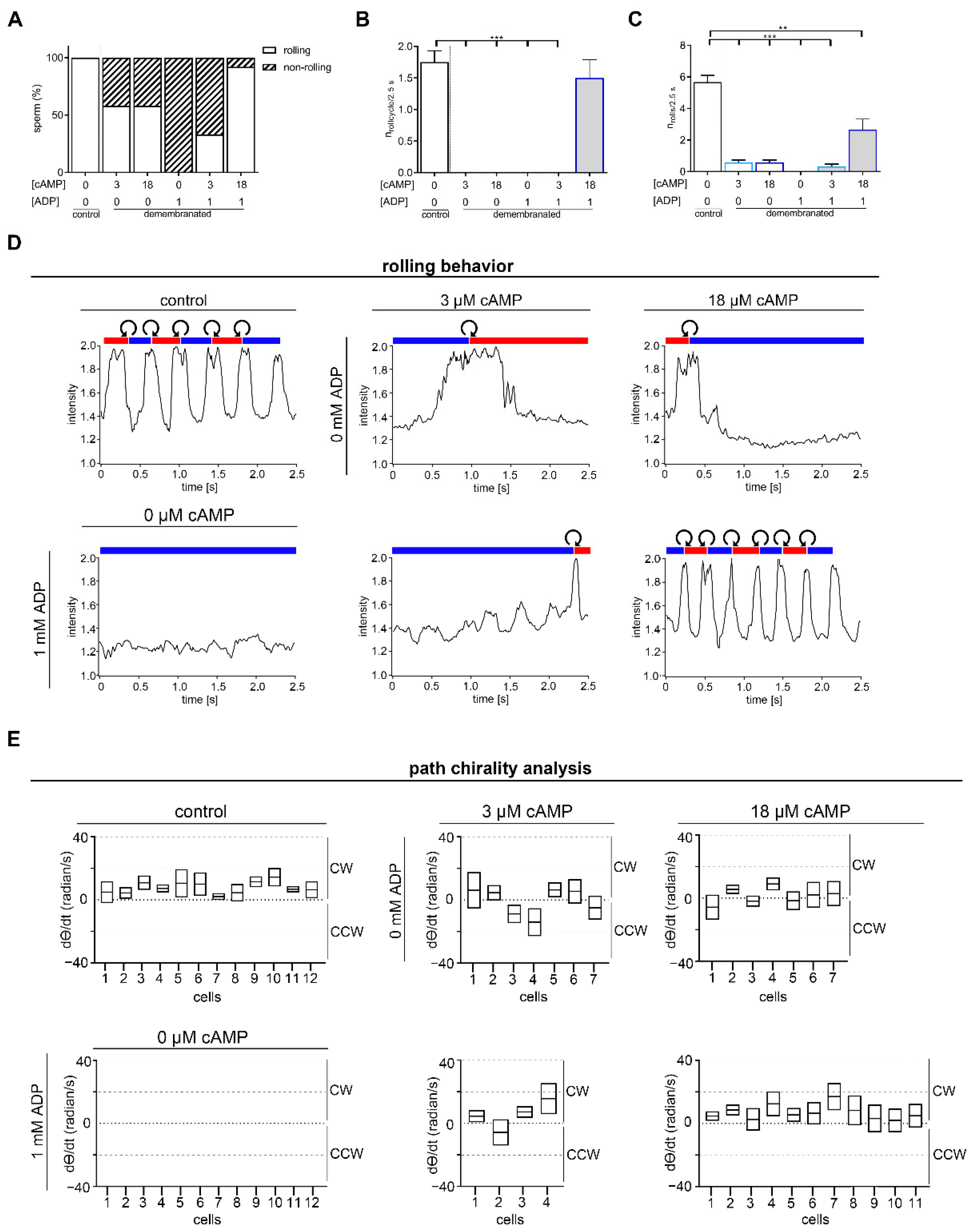 Ijms 23 10607 g003 Ijms 23 10607 g003