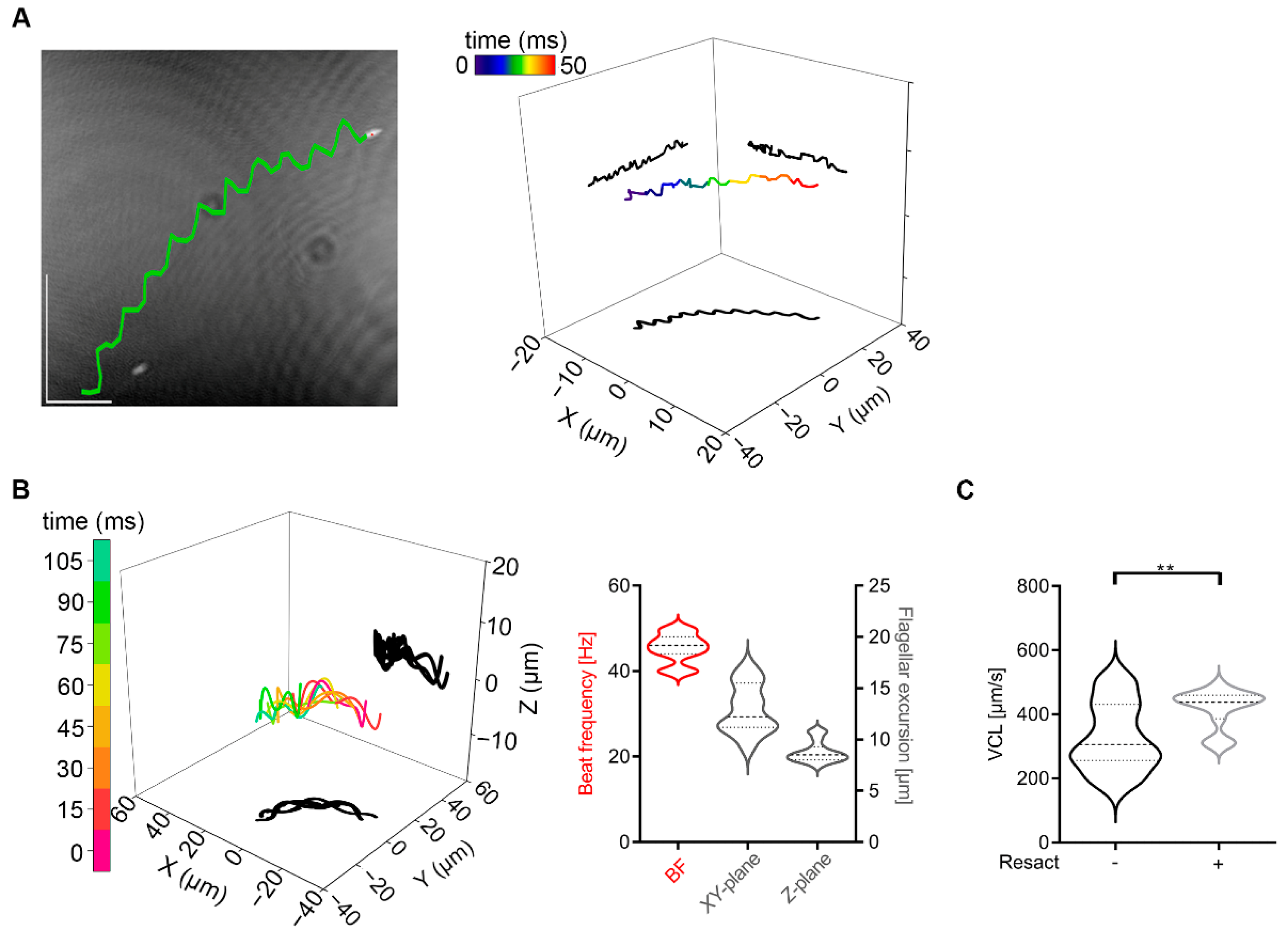 Ijms 23 10607 g004 Ijms 23 10607 g004