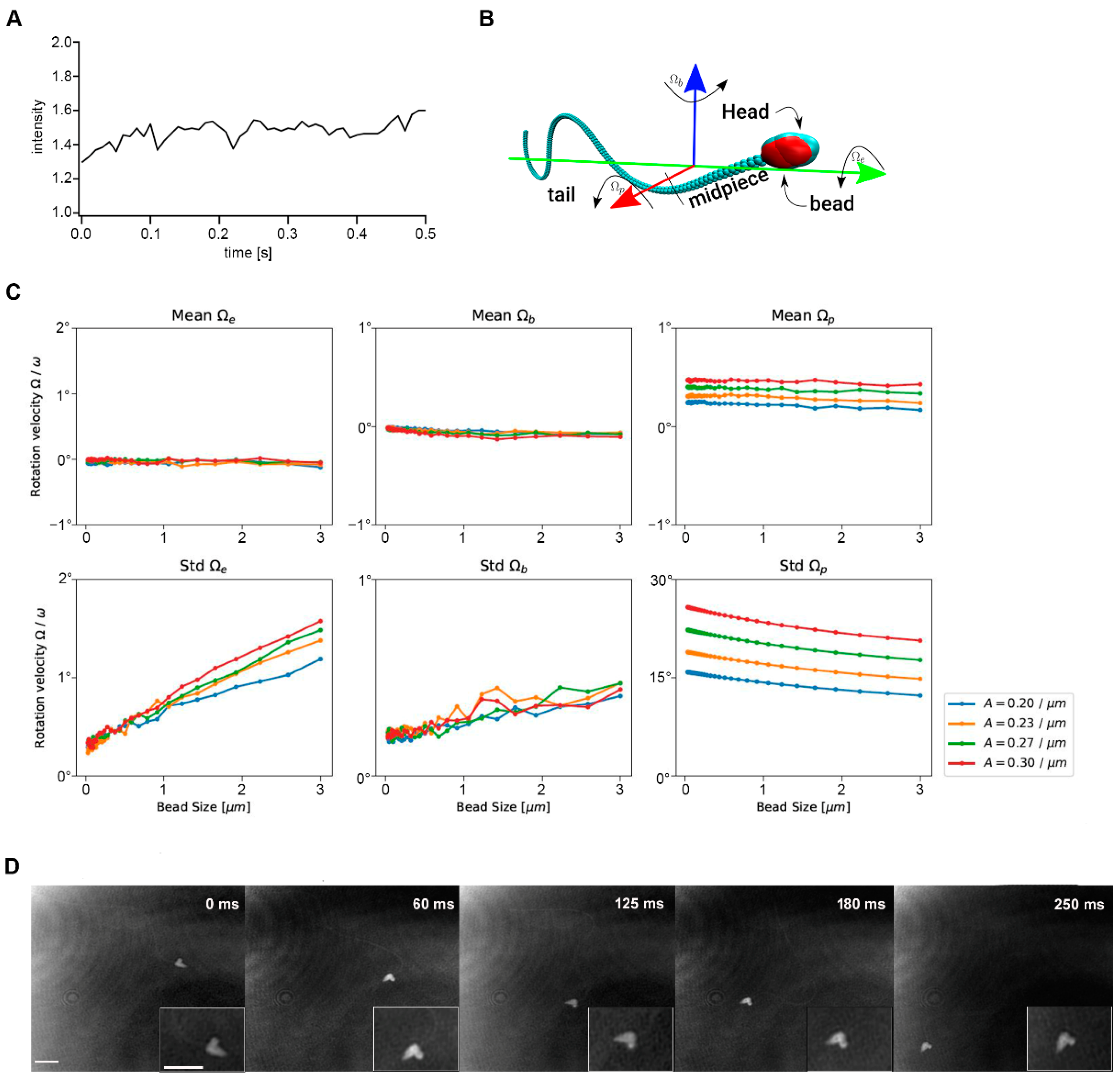 Ijms 23 10607 g005 Ijms 23 10607 g005