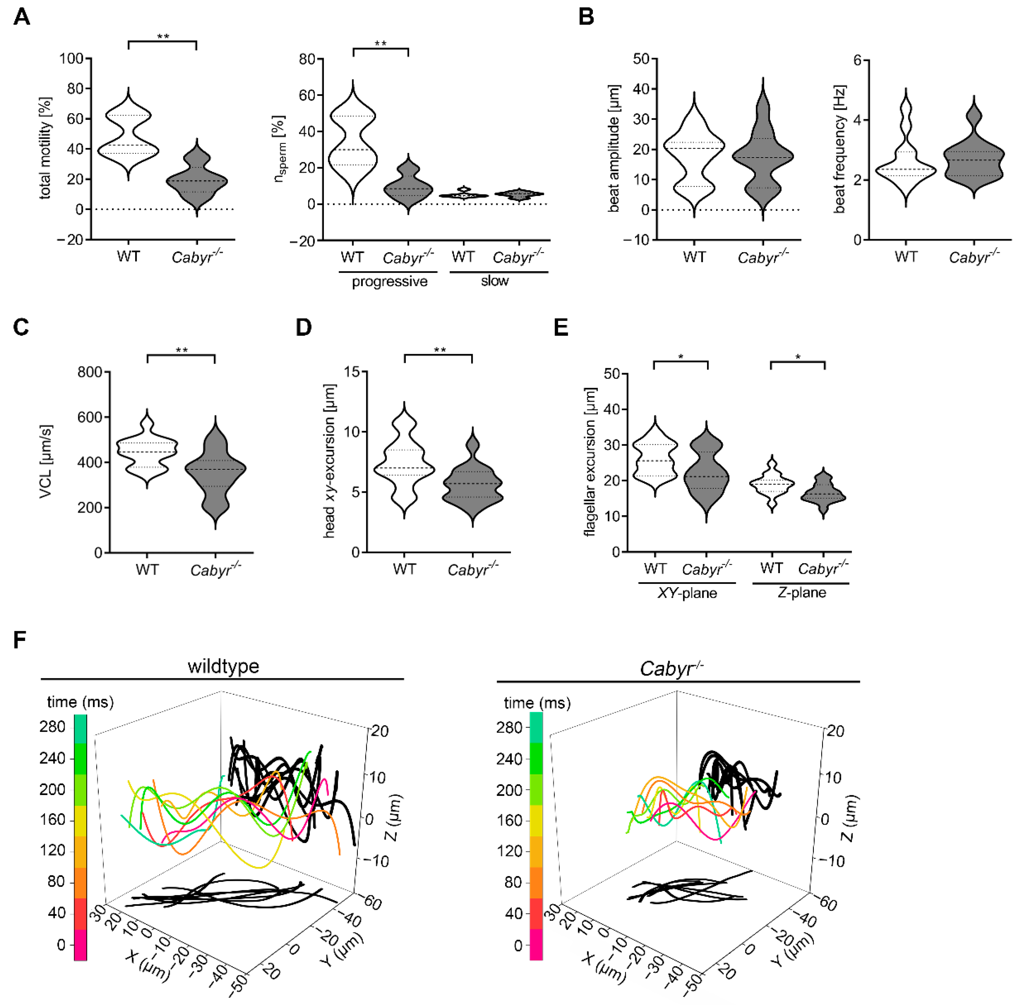 Ijms 23 10607 g006 Ijms 23 10607 g006