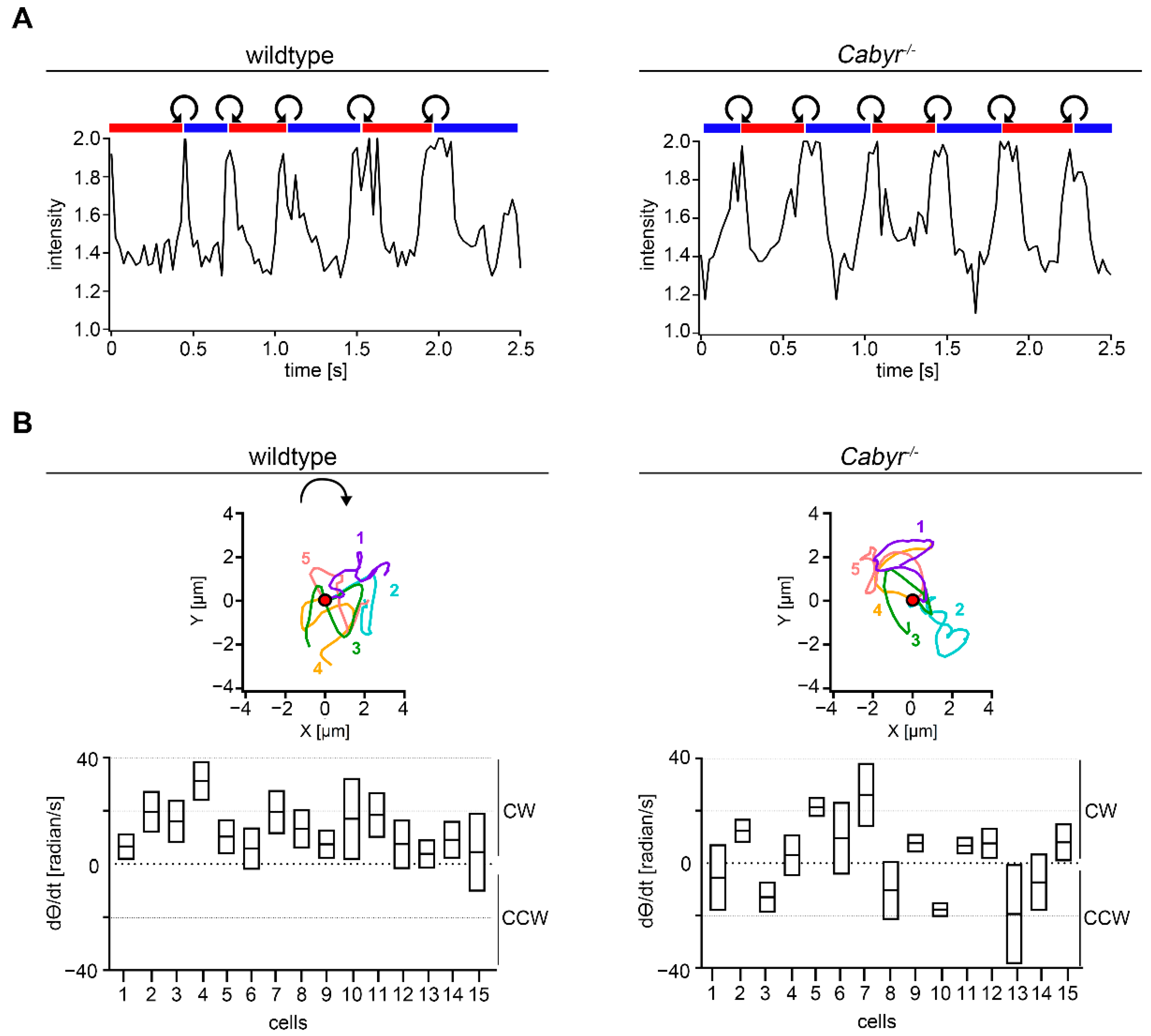 Ijms 23 10607 g007 Ijms 23 10607 g007