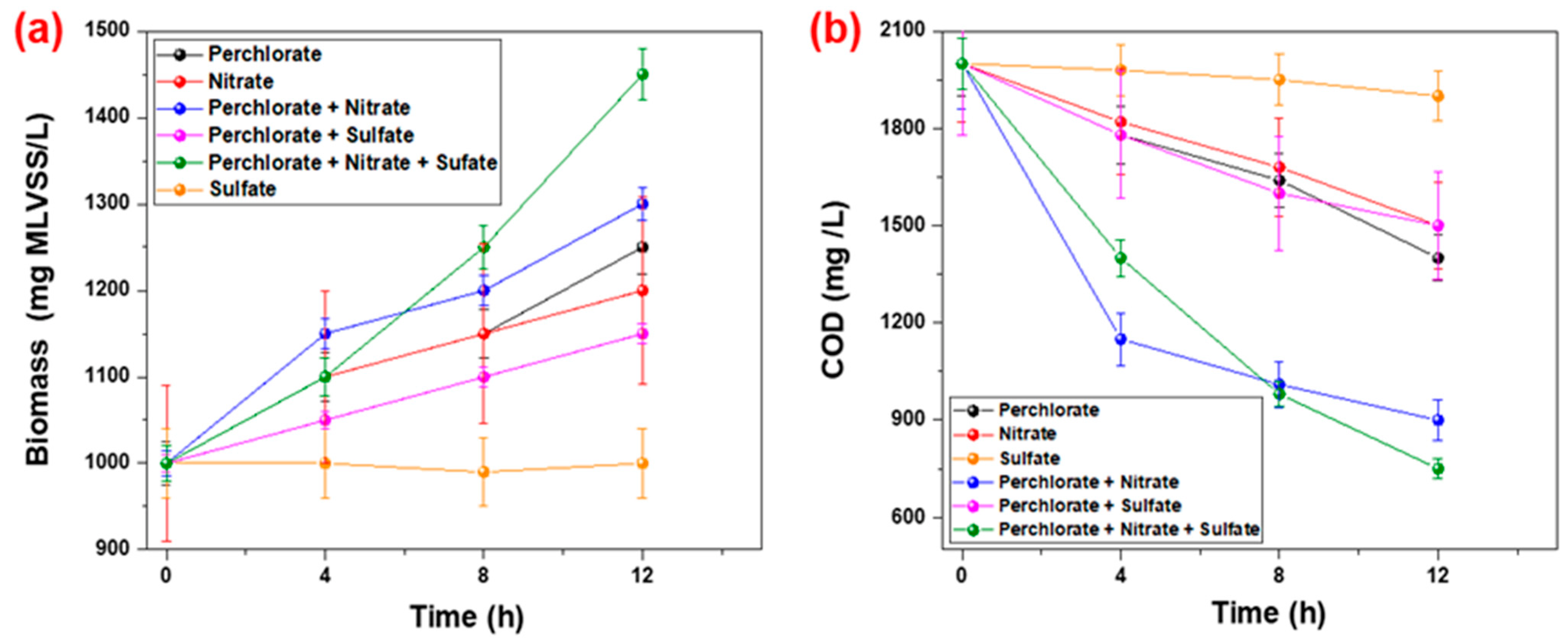 Ijms 23 10608 g002 550