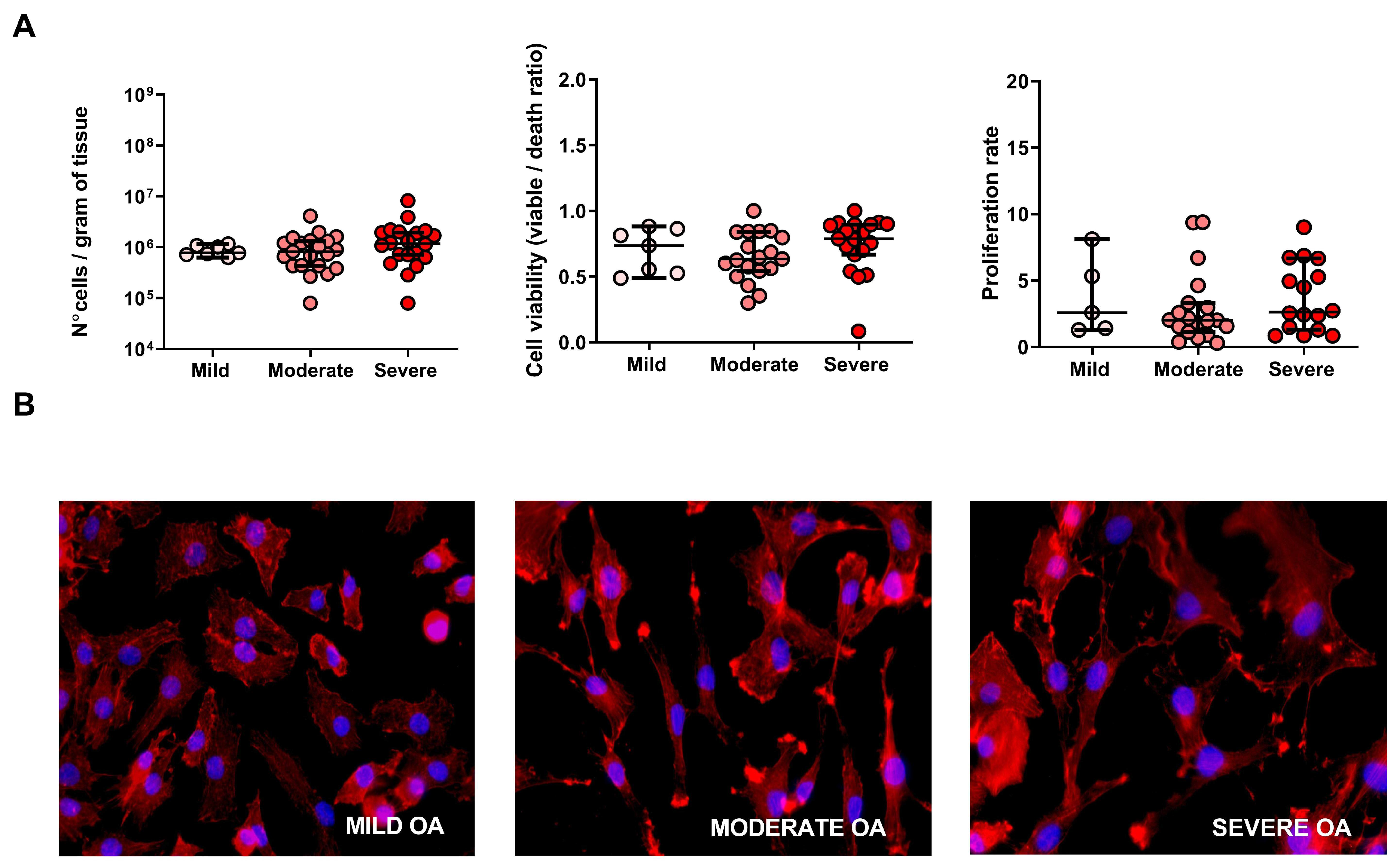 Ijms 23 10610 g003 Ijms 23 10610 g003