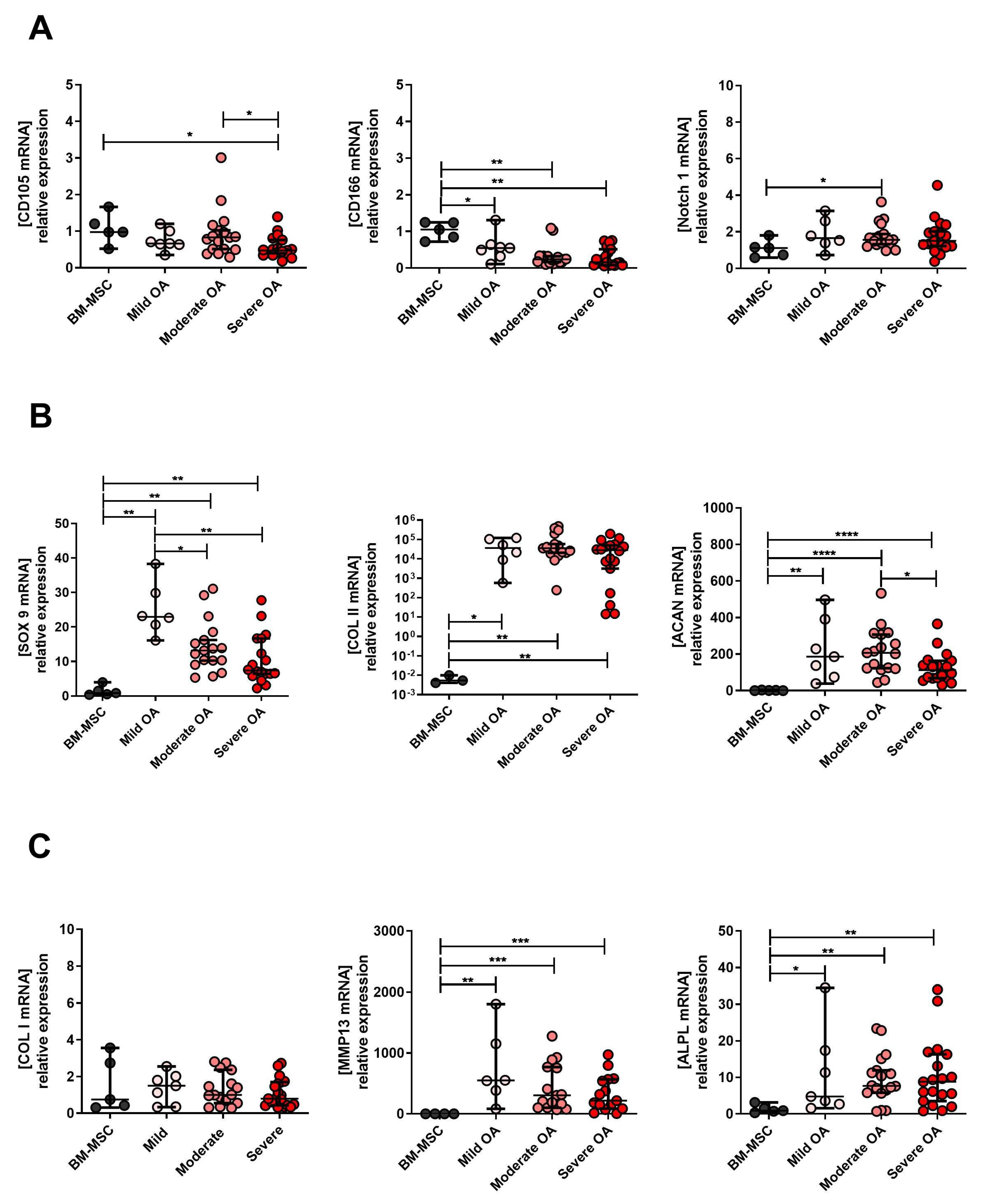 Ijms 23 10610 g004 Ijms 23 10610 g004