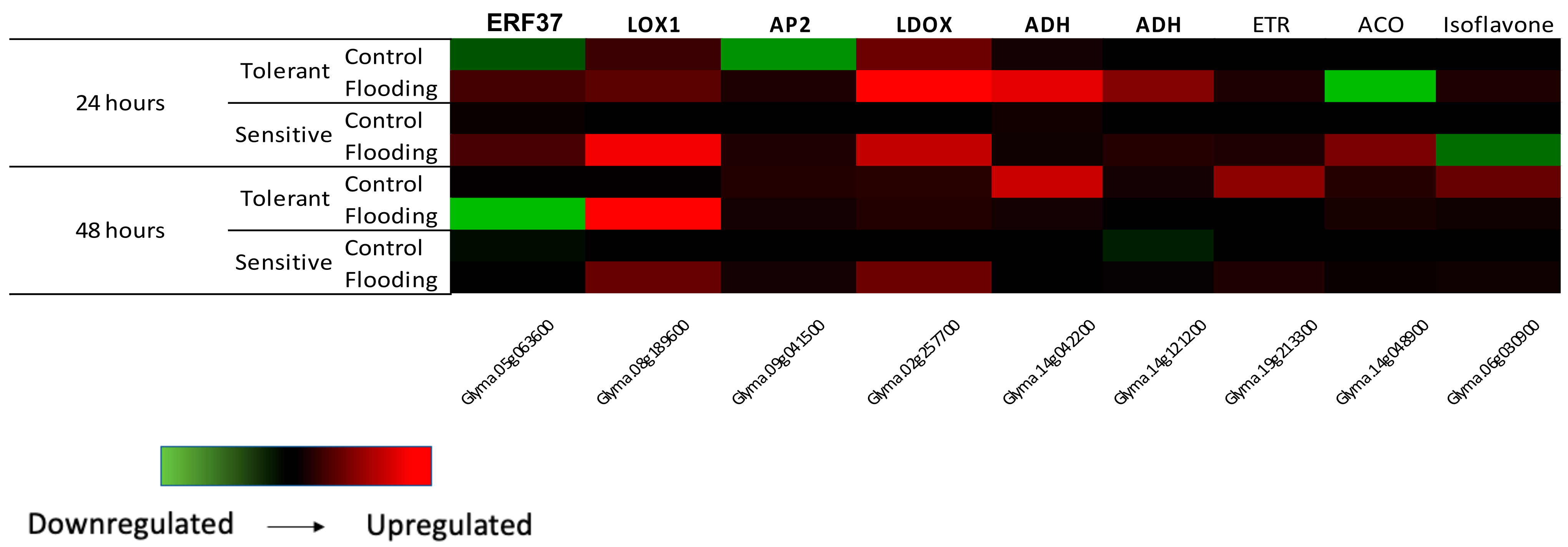 Ijms 23 10611 g001 550