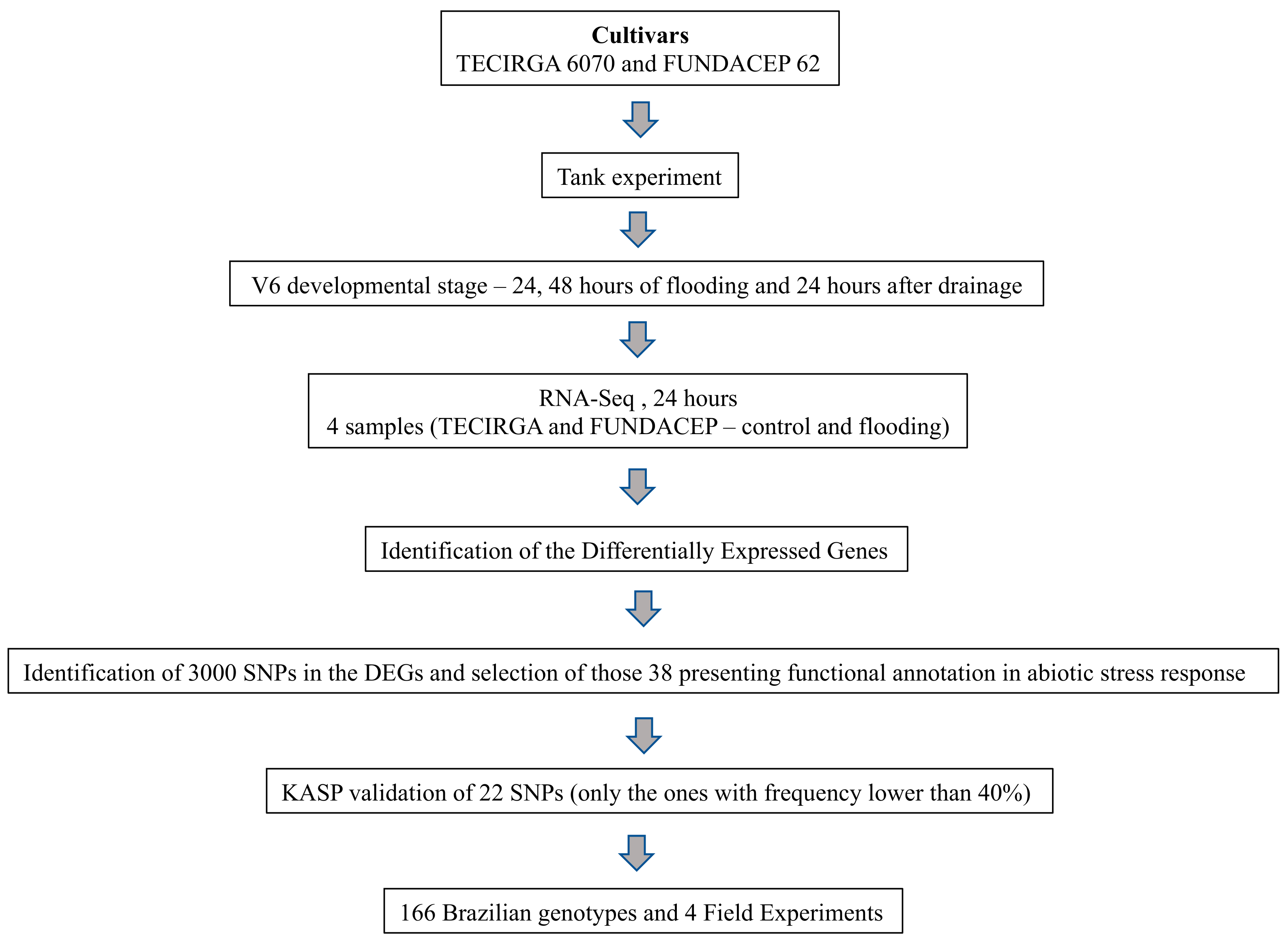 Ijms 23 10611 g004 550