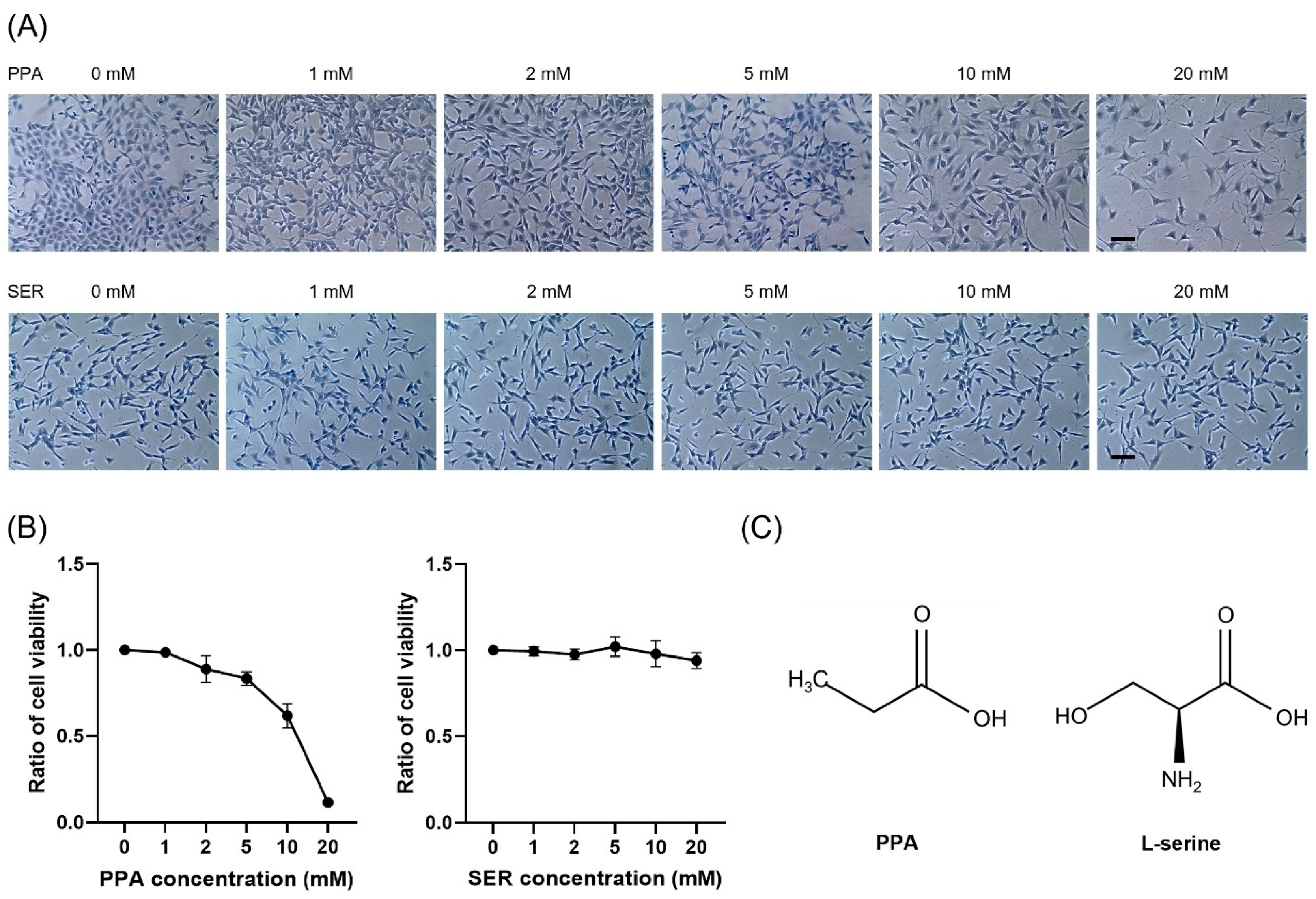 Ijms 23 10613 g001 550