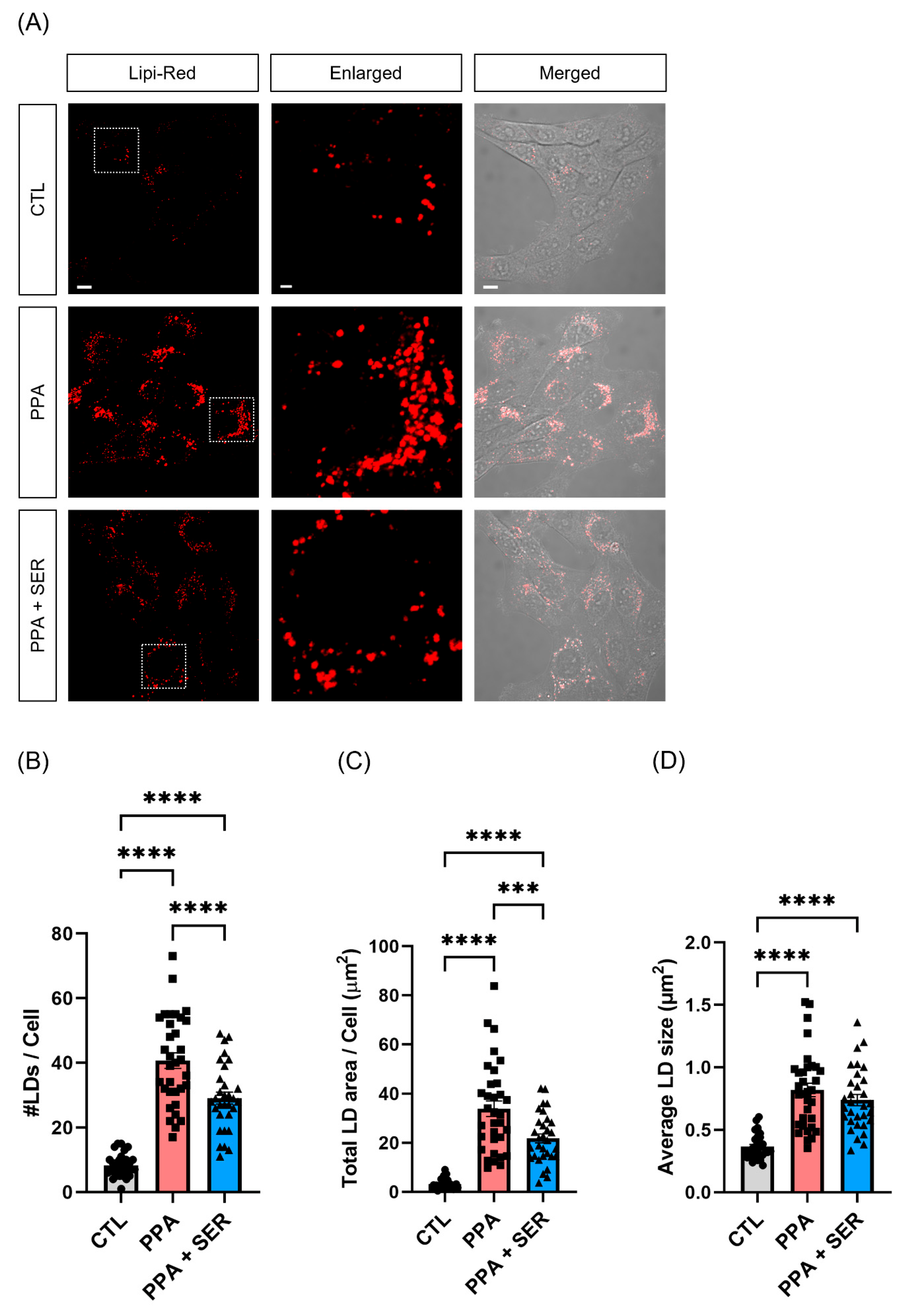 Ijms 23 10613 g003 550