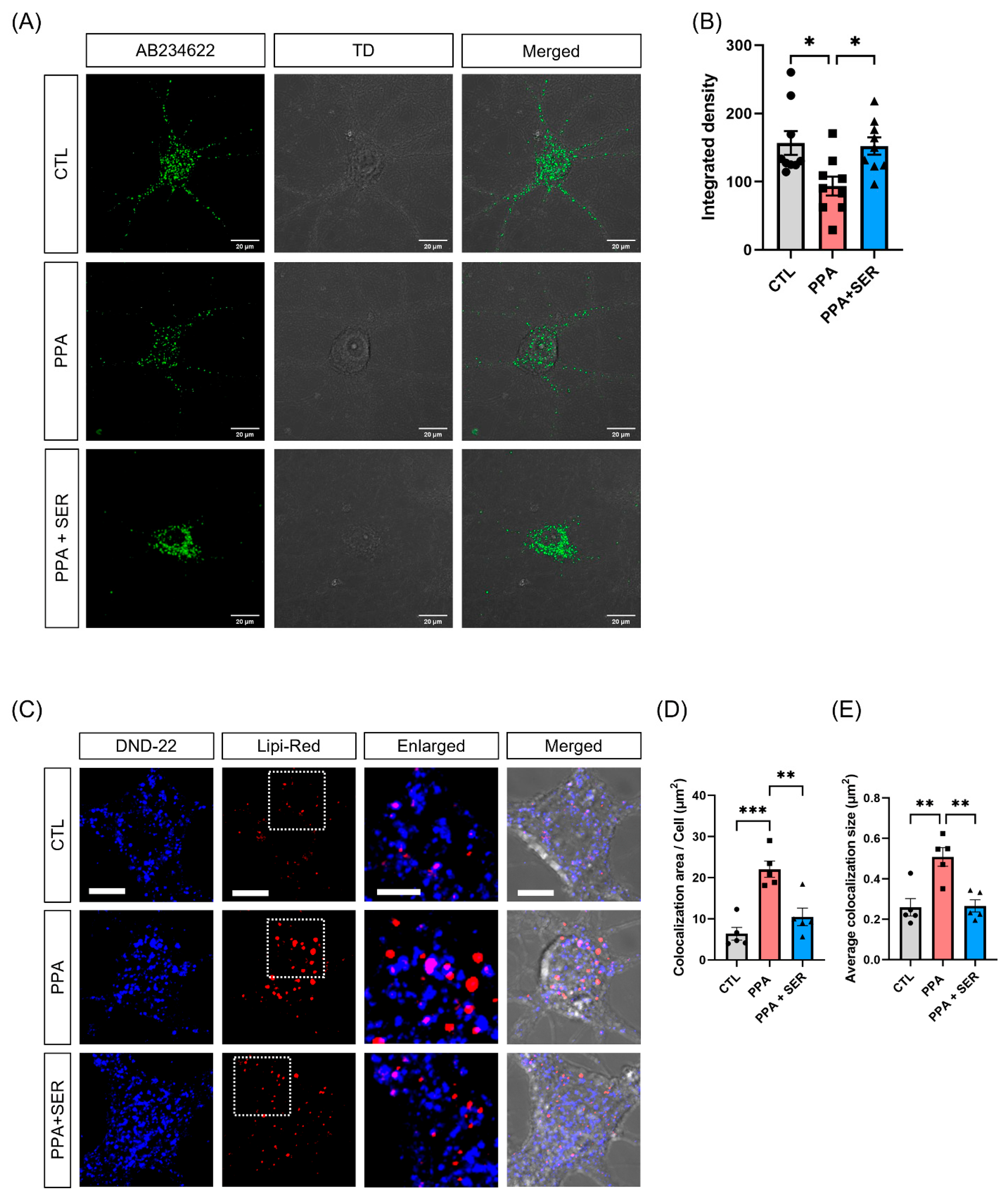Ijms 23 10613 g005 550