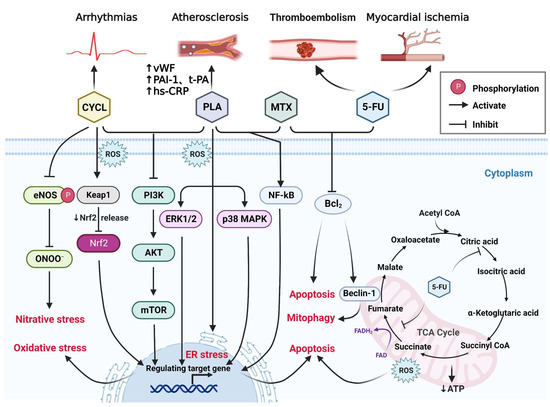 Cardio-Oncology: Mechanisms, Drug Combinations, and Reverse Cardio