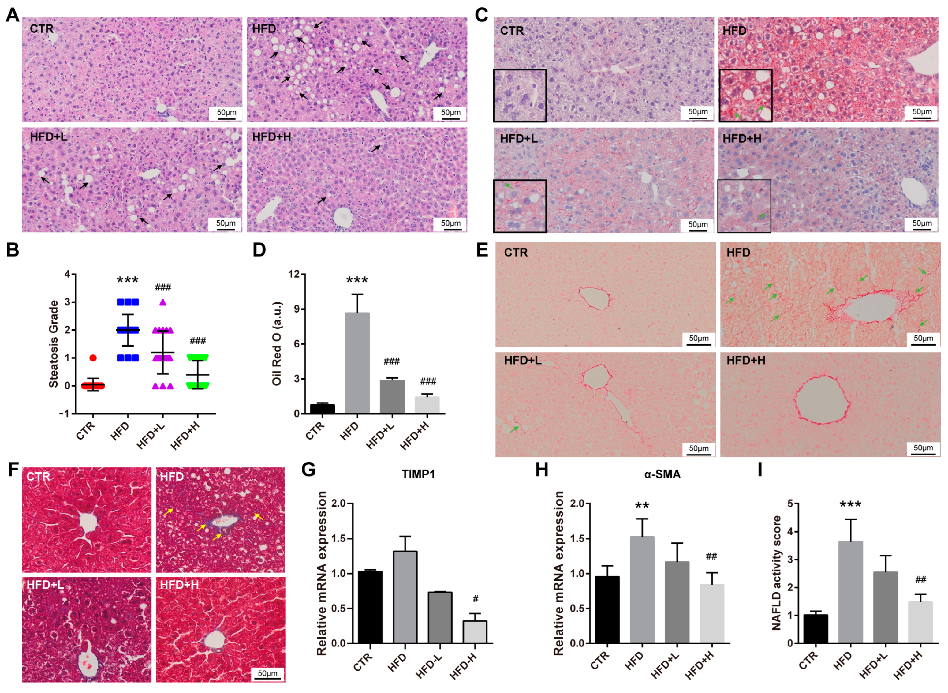 Ijms 23 10620 g003 550
