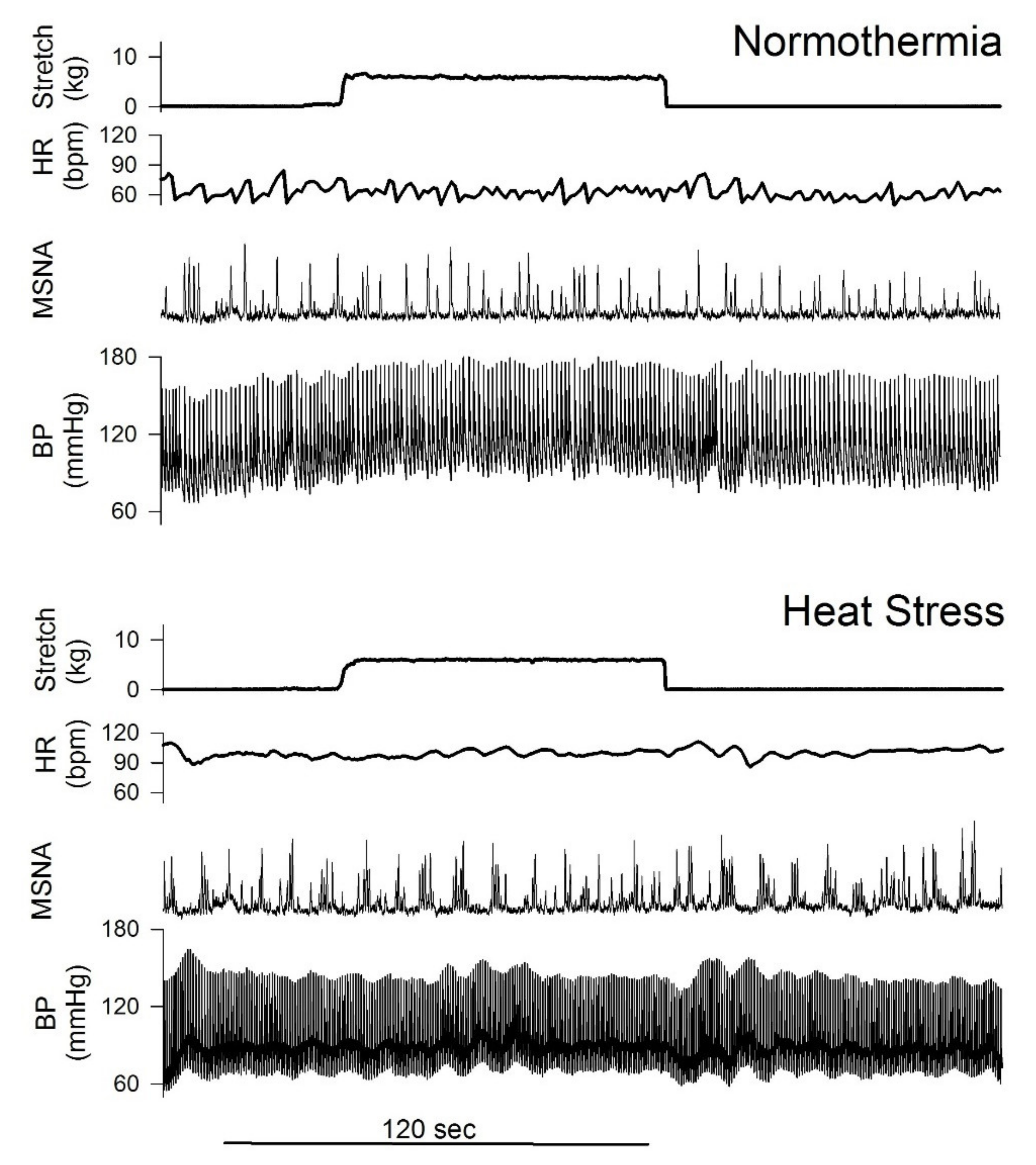 Ijms 23 10622 g007 Ijms 23 10622 g007