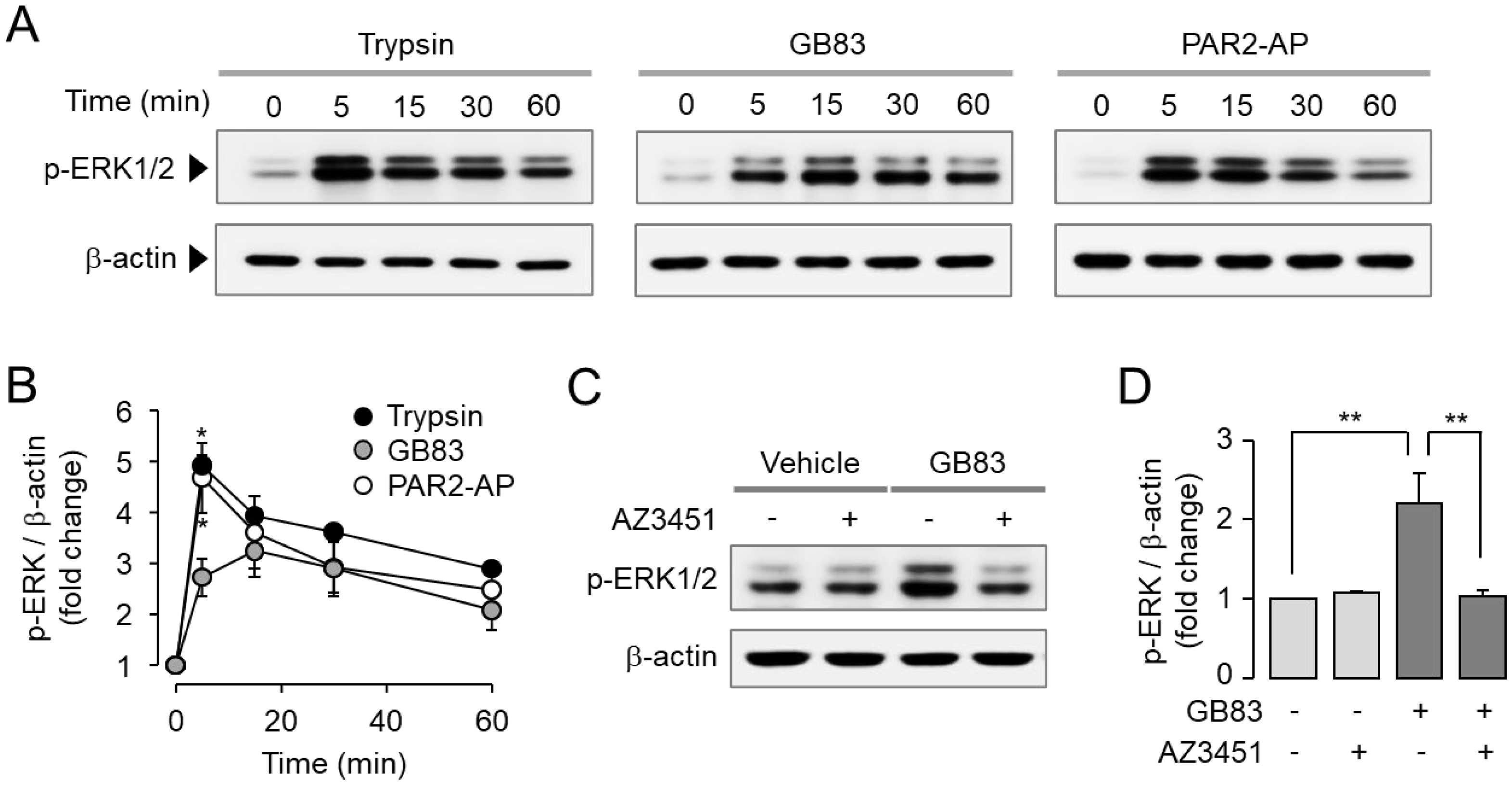 Ijms 23 10631 g003 550