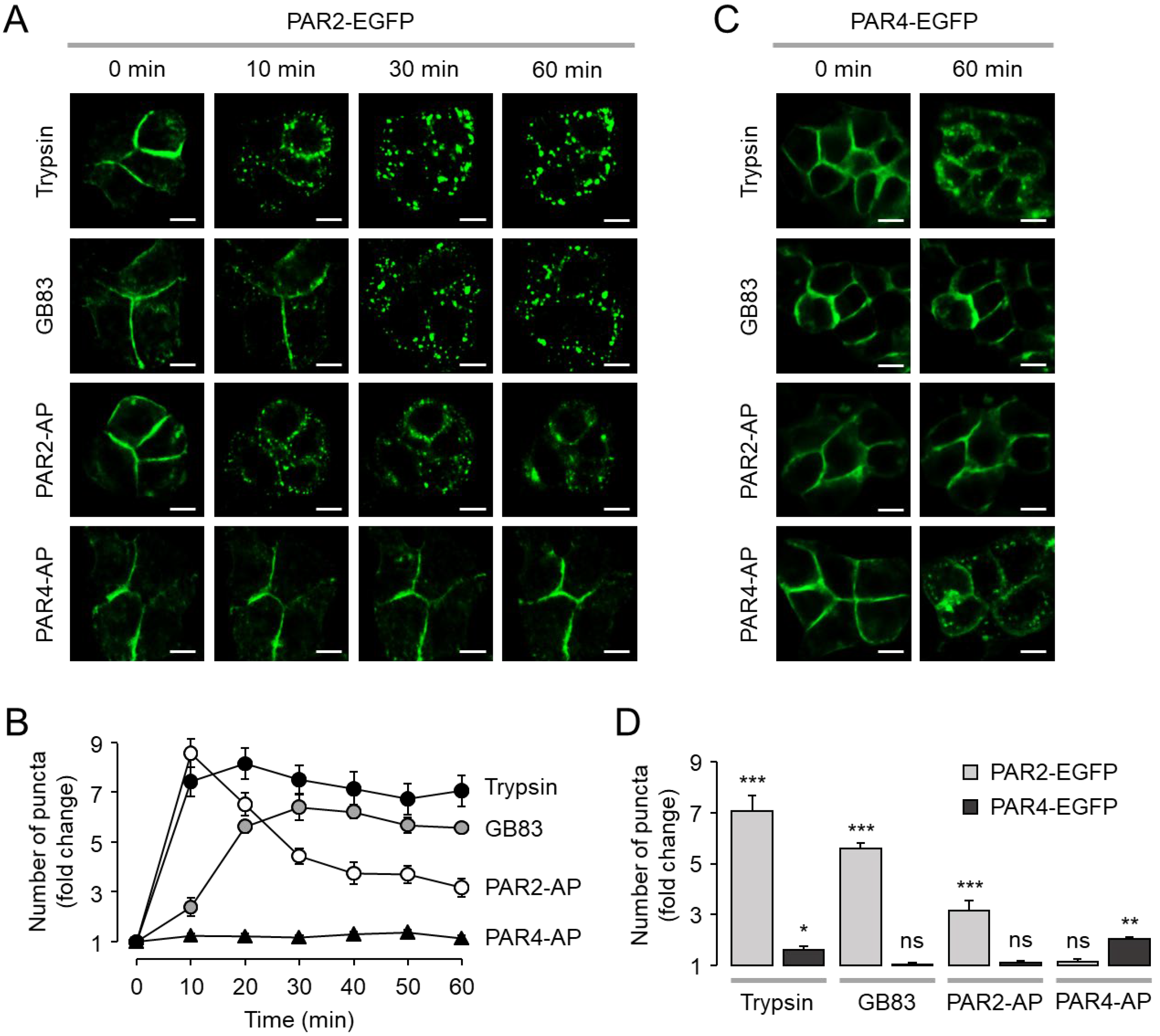 Ijms 23 10631 g005 550