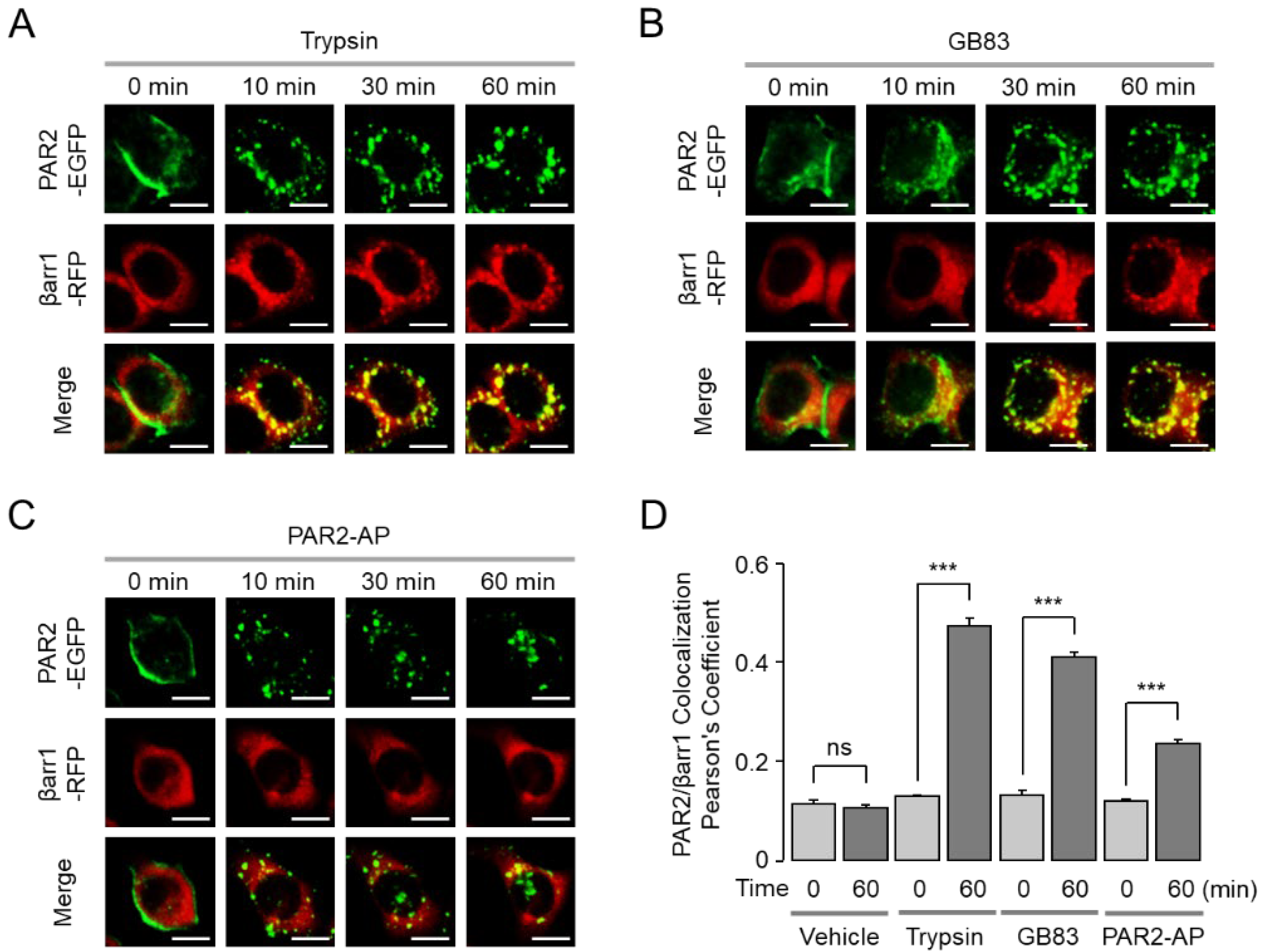 Ijms 23 10631 g006 550