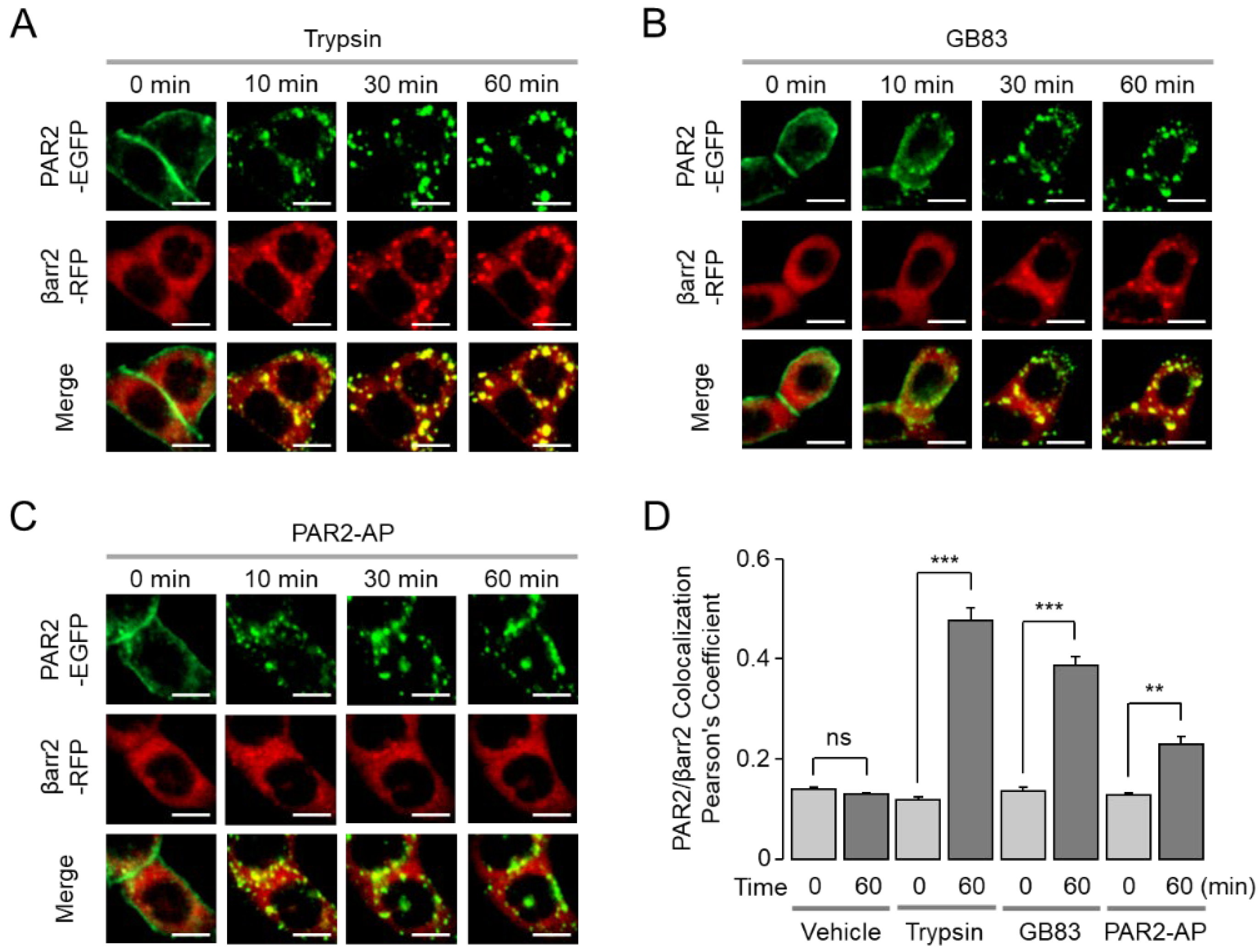 Ijms 23 10631 g007 550