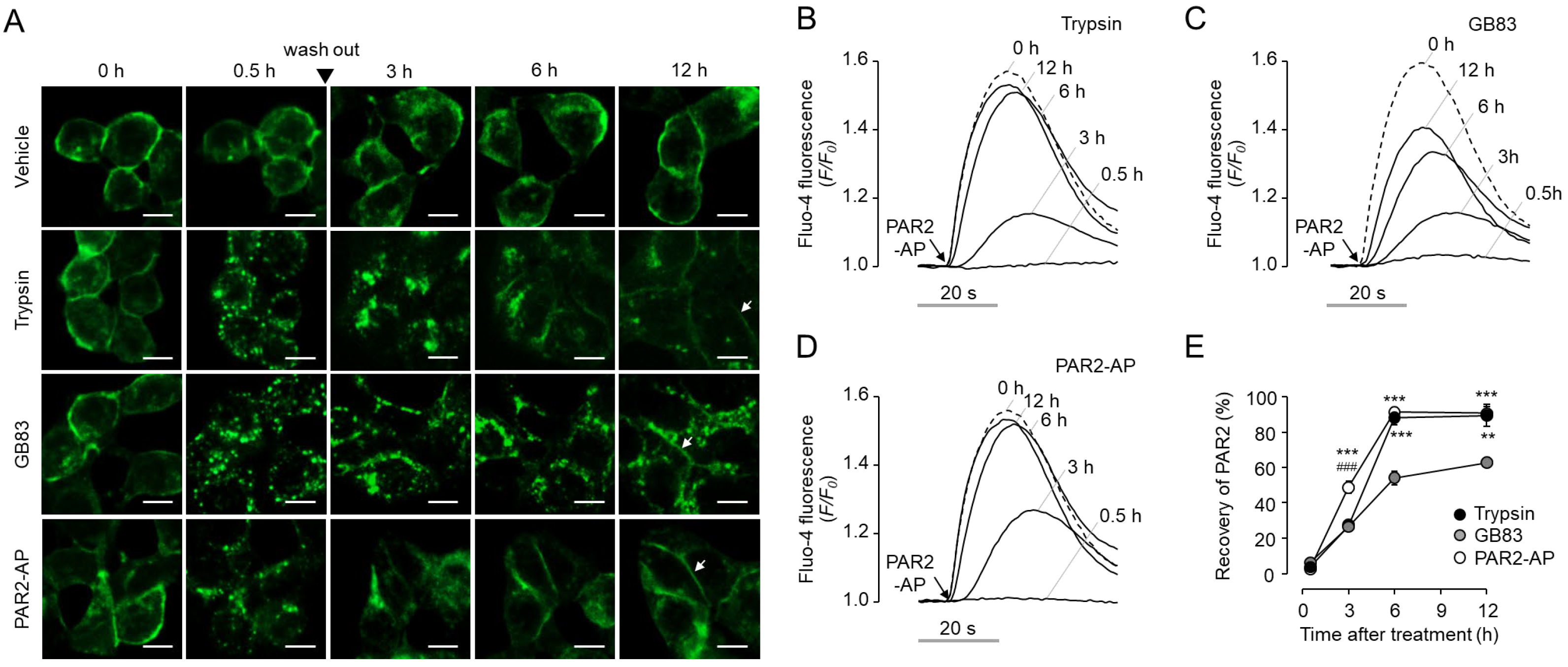 Ijms 23 10631 g008 550
