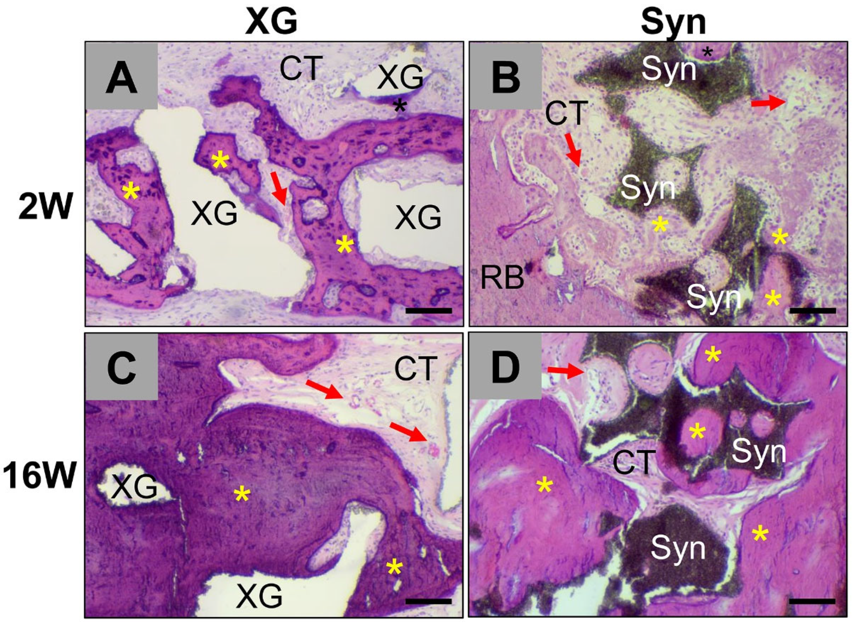 Ijms 23 10636 g001 550