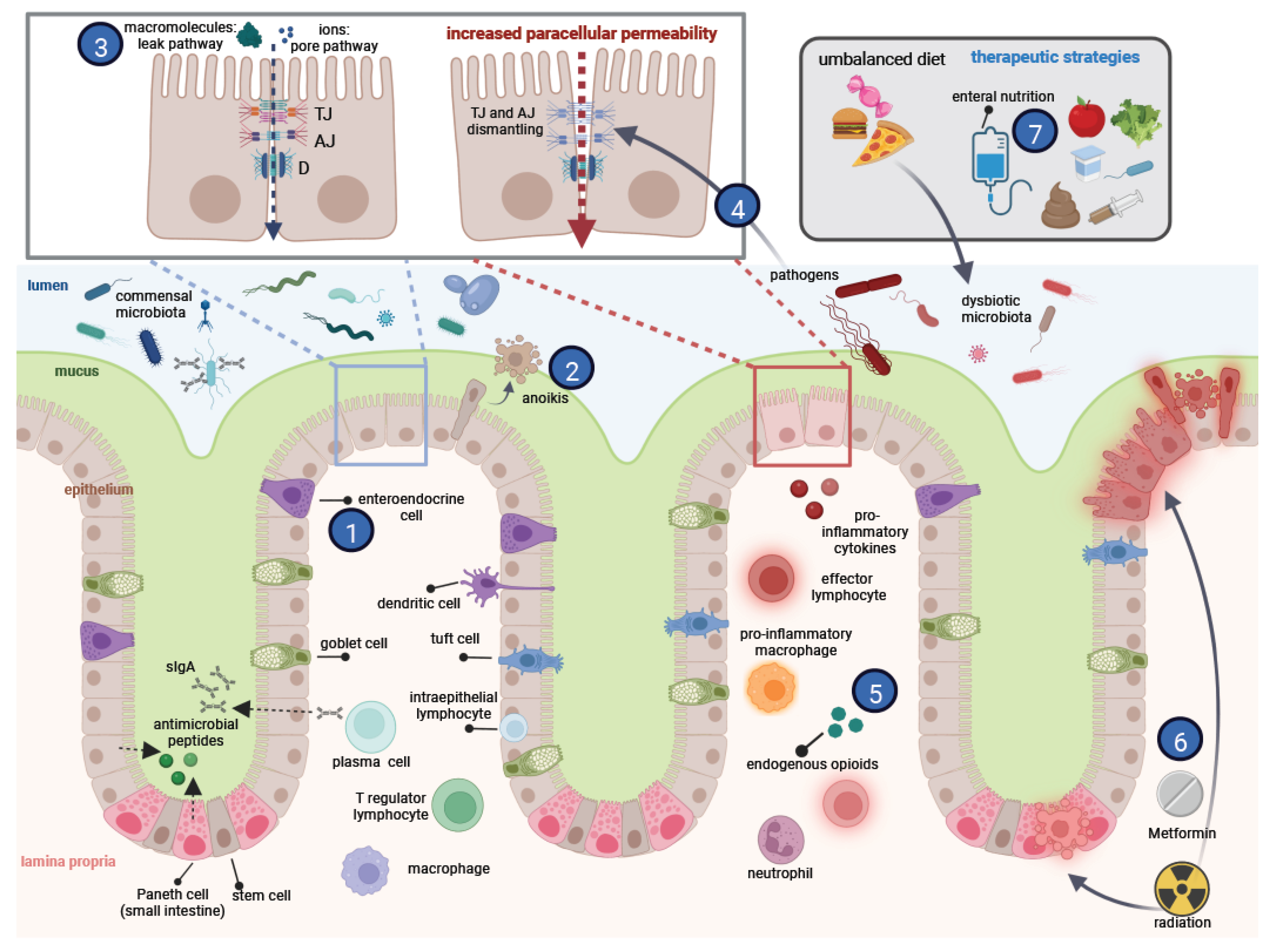 Ijms 23 10638 g001 550