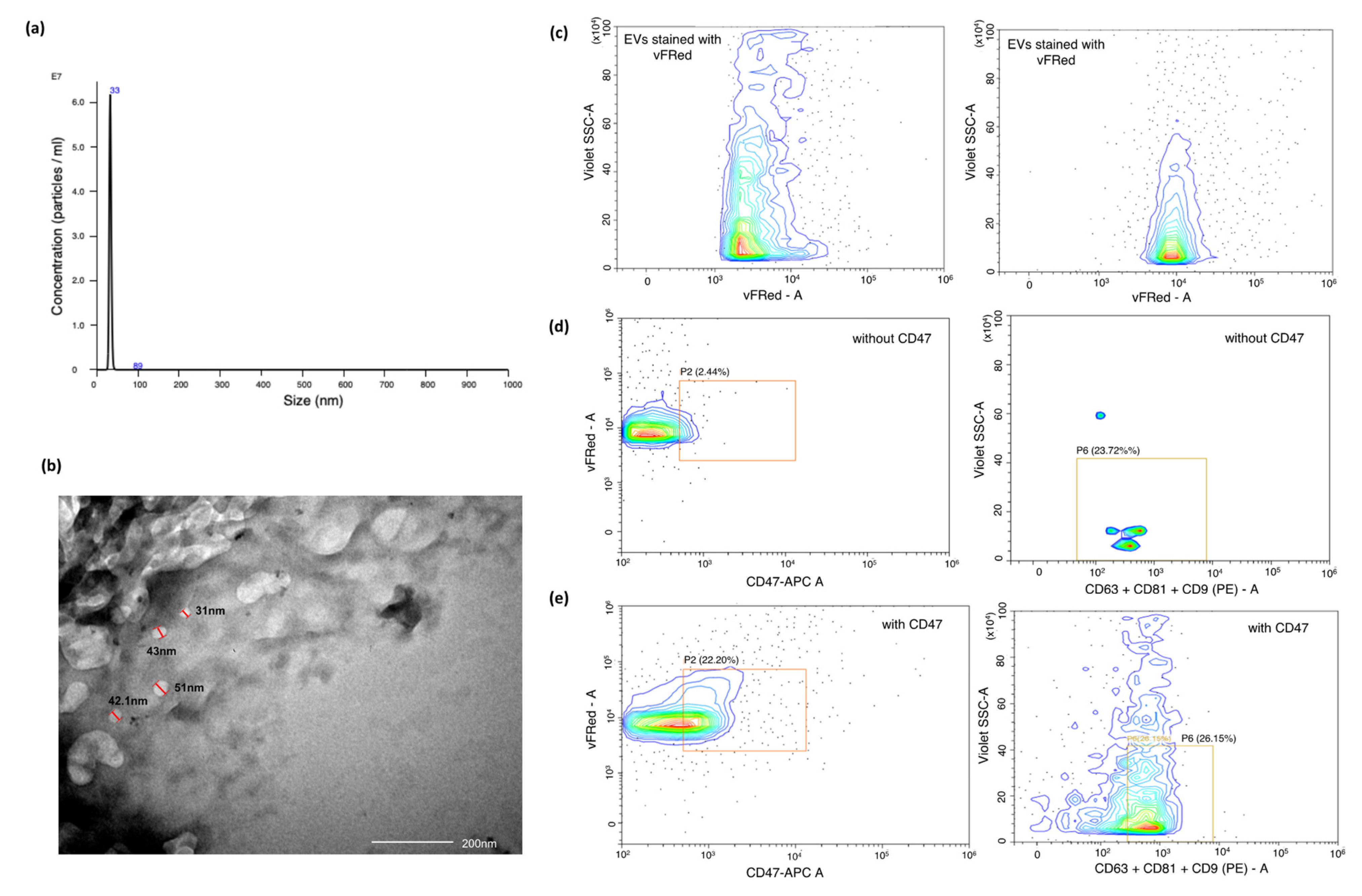 Ijms 23 10639 g001 550