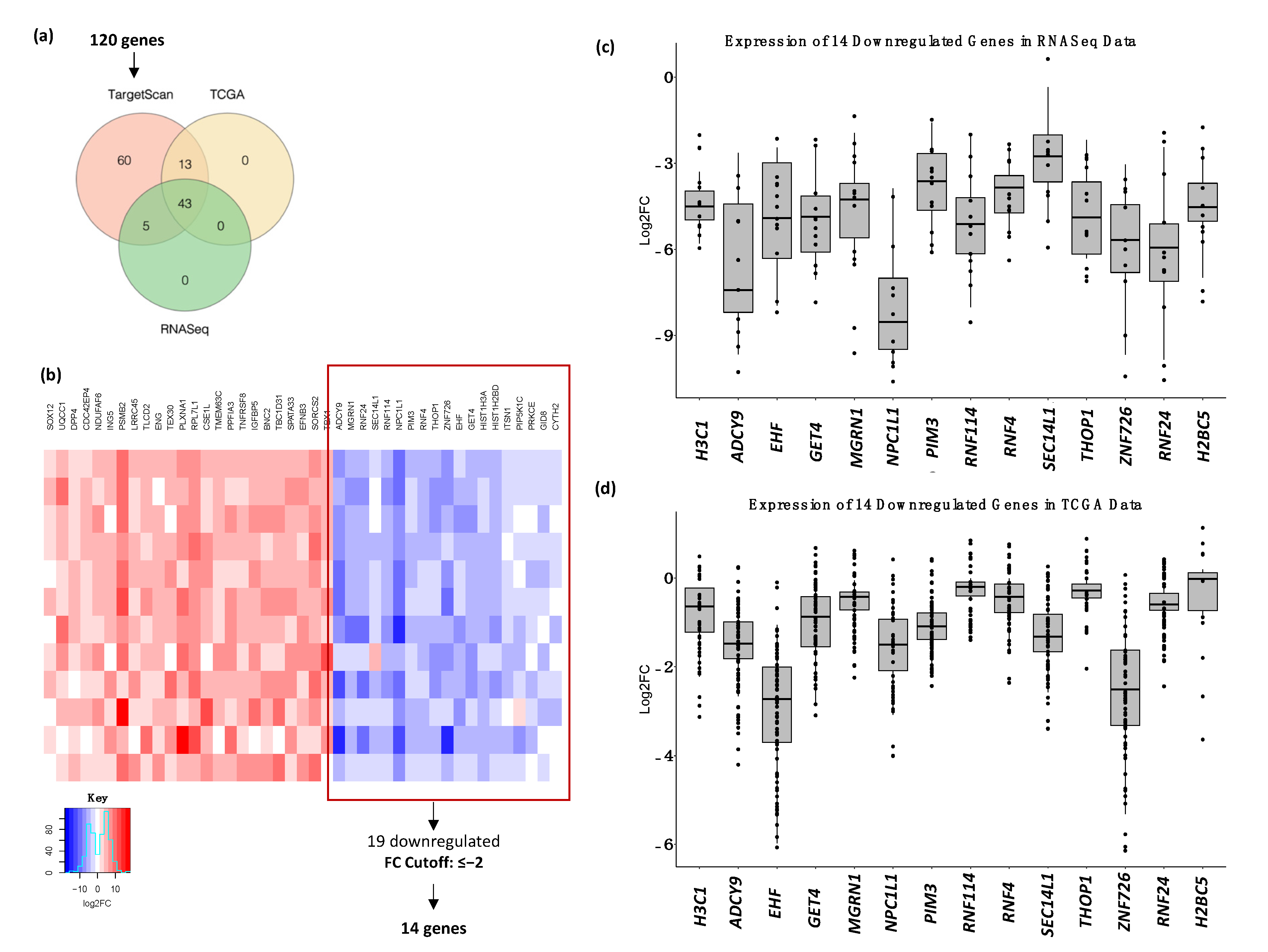 Ijms 23 10639 g004 550