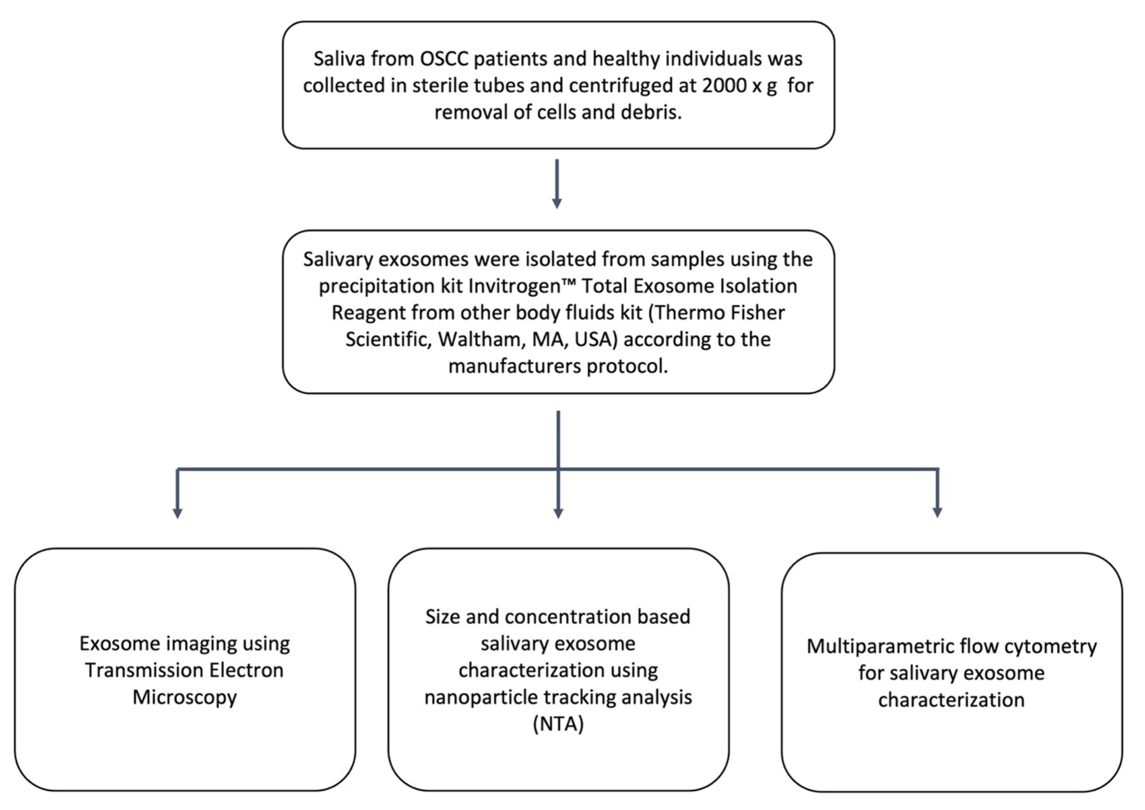 Ijms 23 10639 g0a2 550