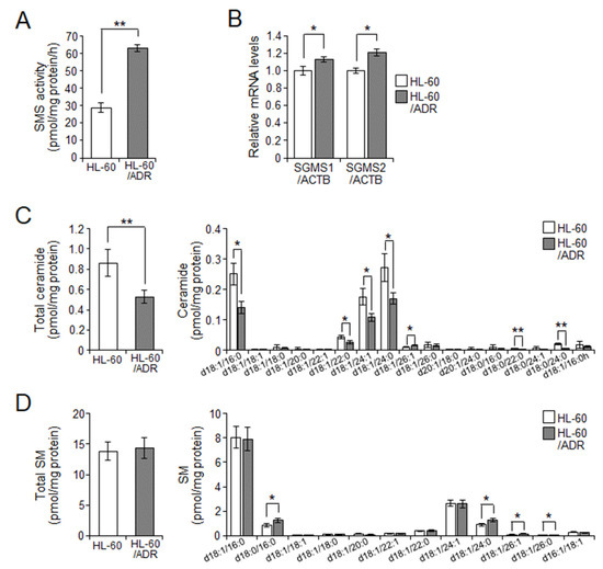 IJMS | Free Full-Text | Ceramide Metabolism Regulated by 