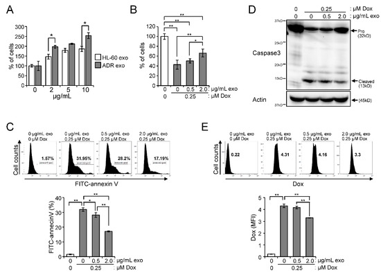 Ceramide Metabolism Regulated by Sphingomyelin Synthase 2 Is