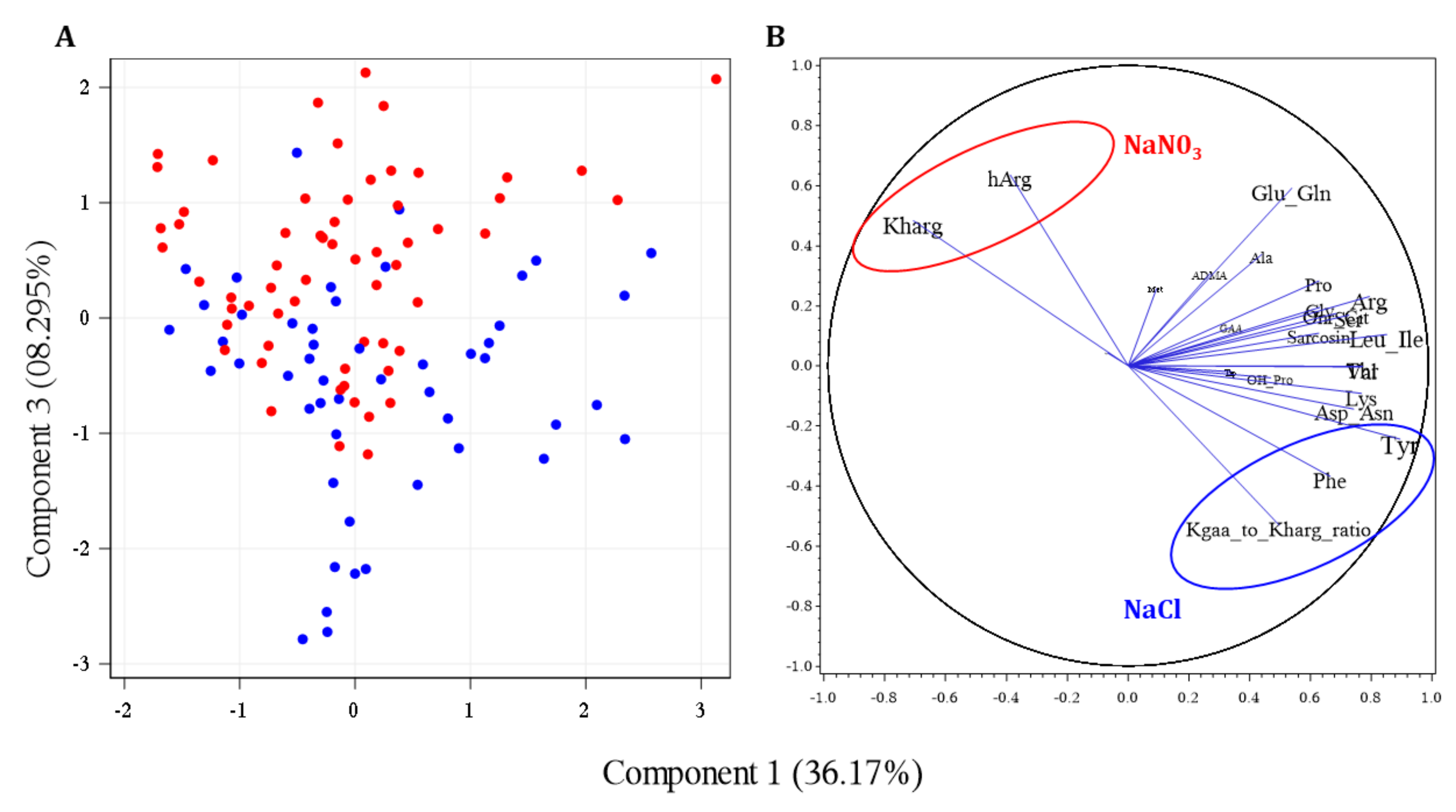 Ijms 23 10649 g008 Ijms 23 10649 g008