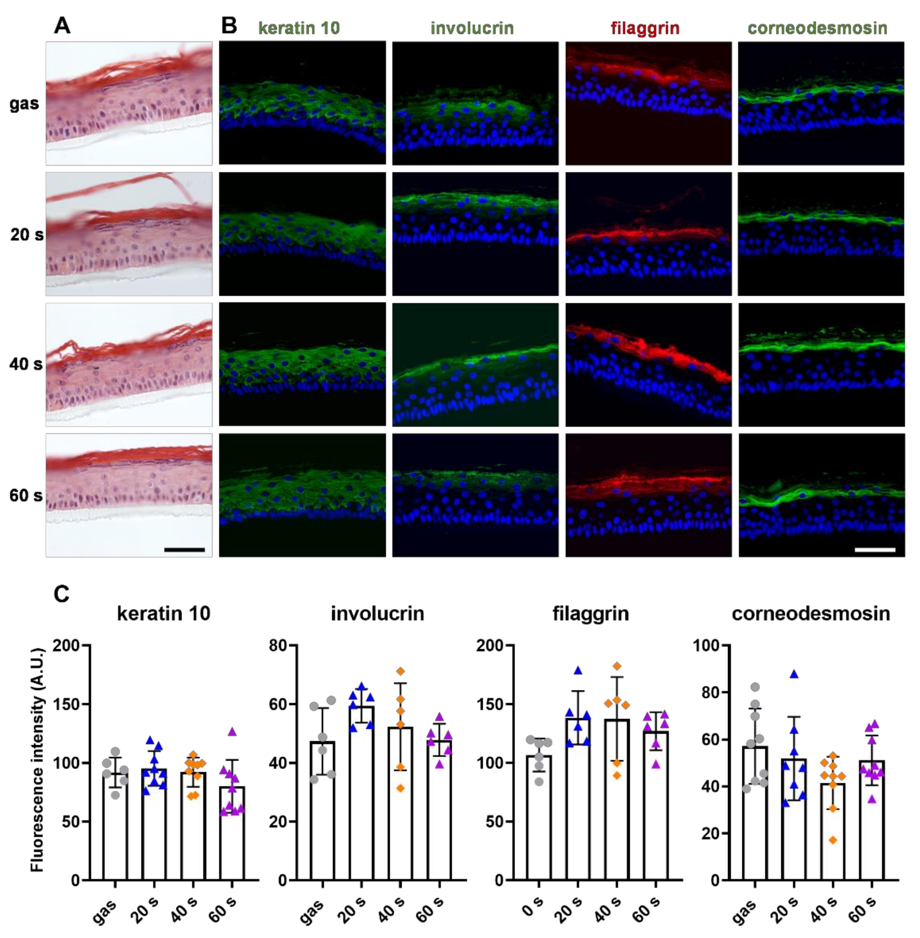 Ijms 23 10650 g005 550