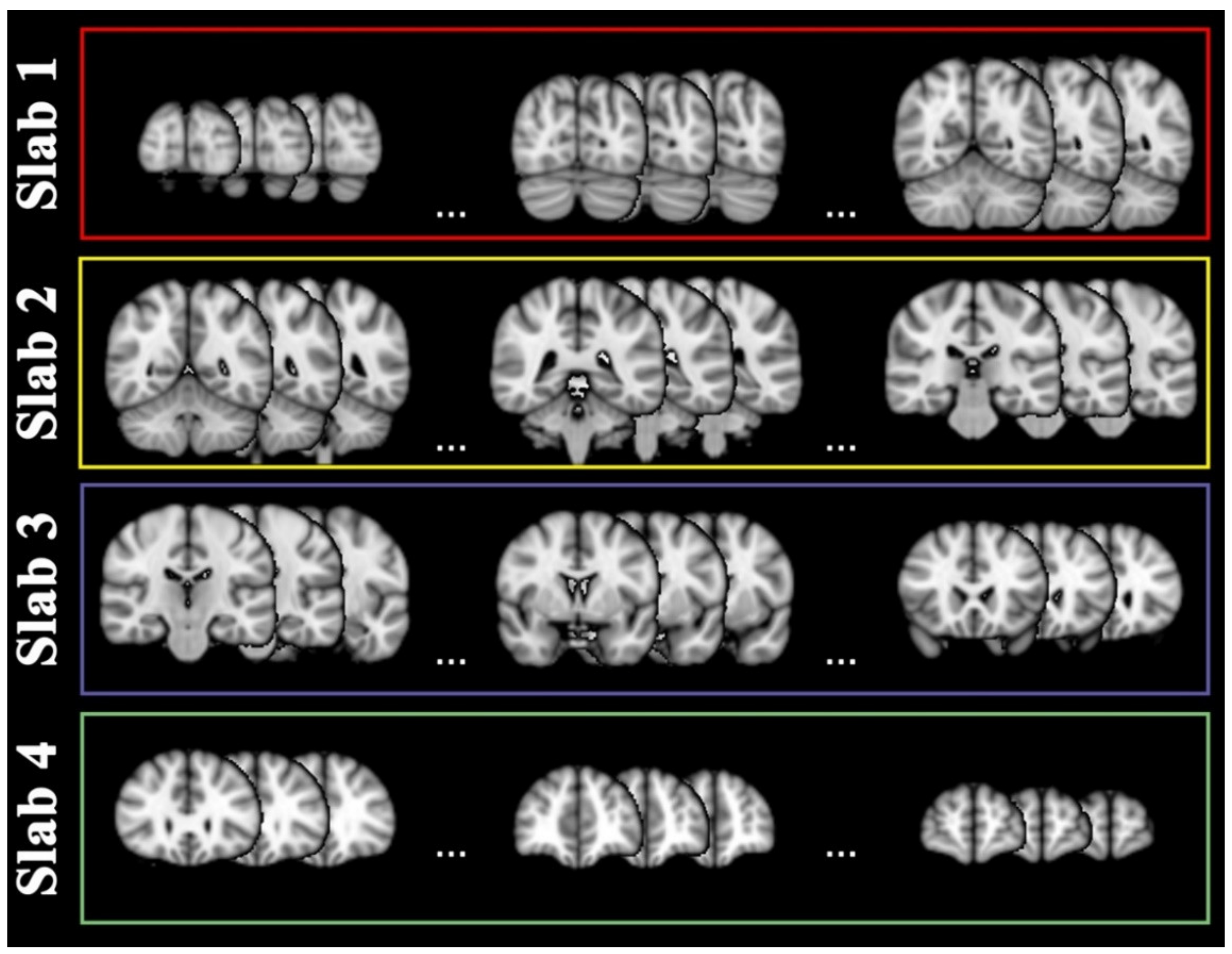 Ijms 23 10651 g004 550