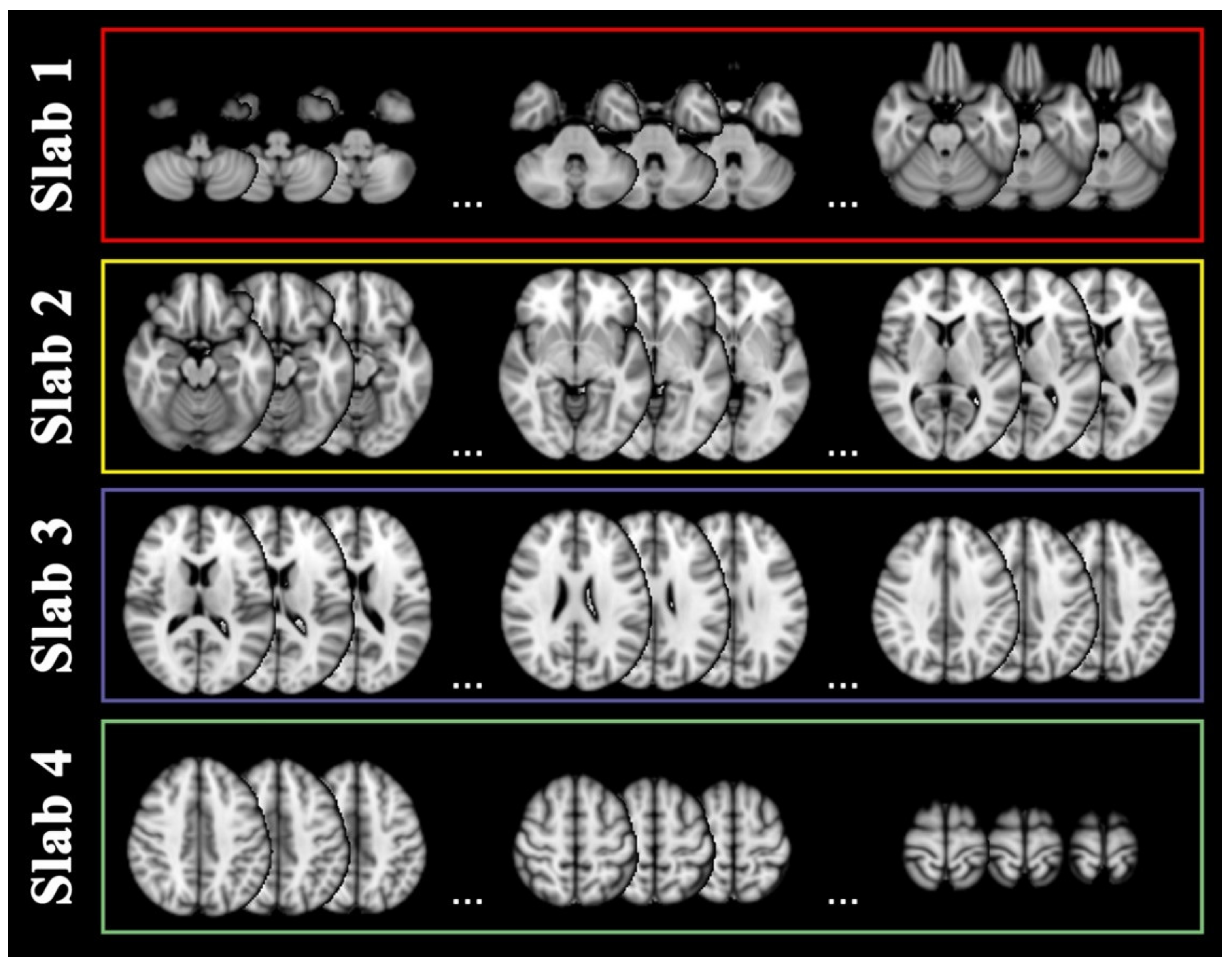 Ijms 23 10651 g006 550