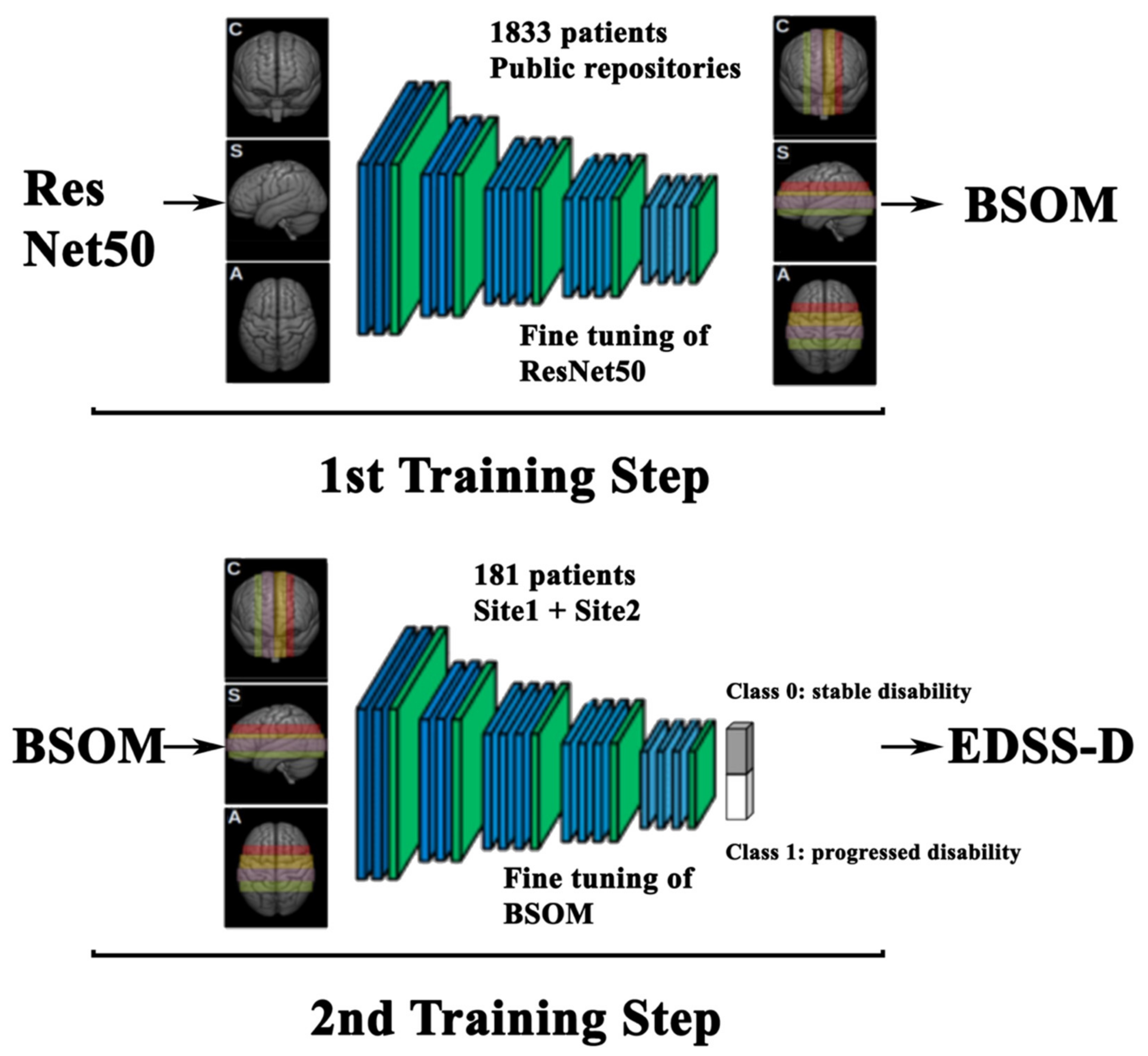 Ijms 23 10651 g007 550