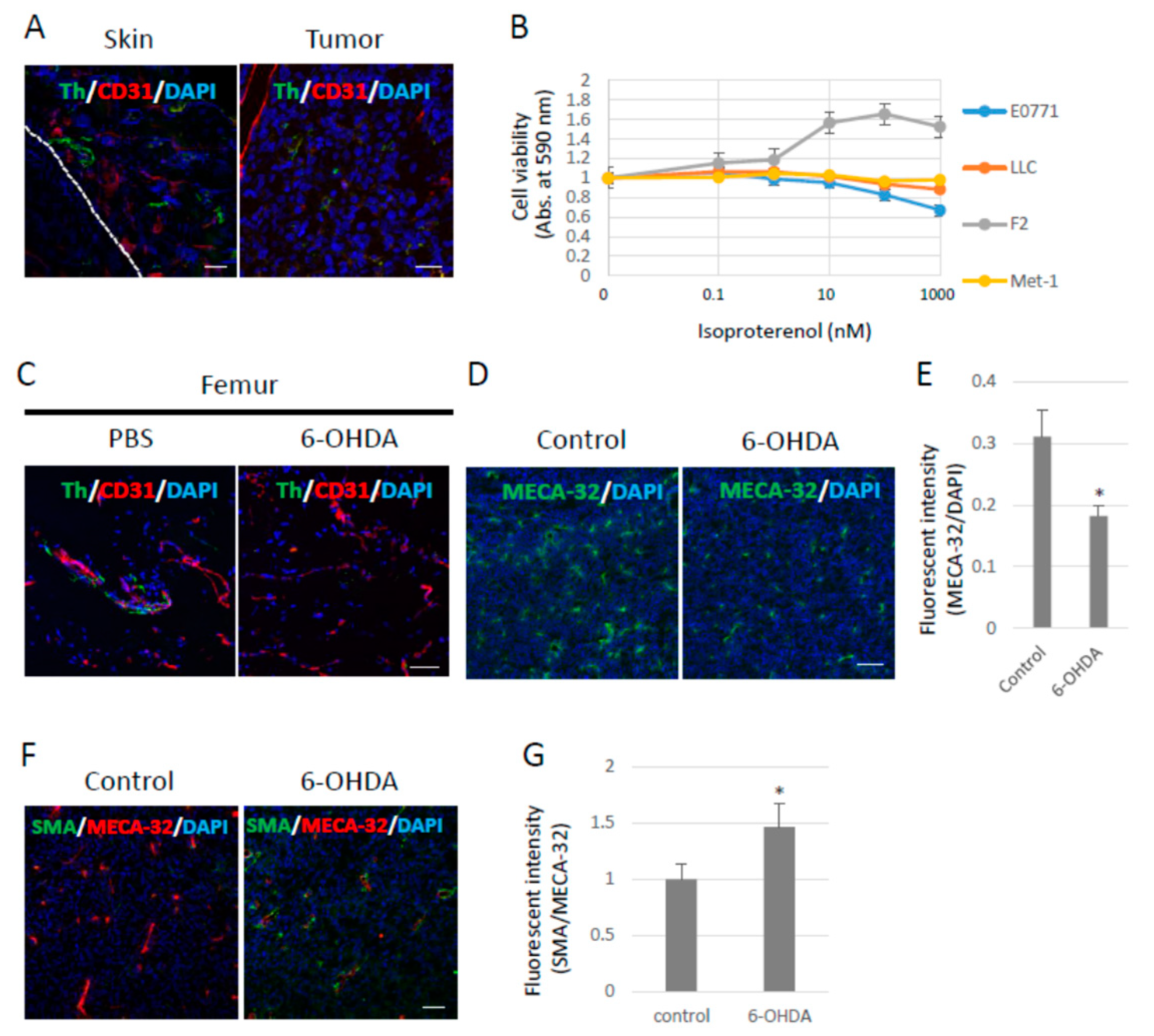 Ijms 23 10652 g001 550