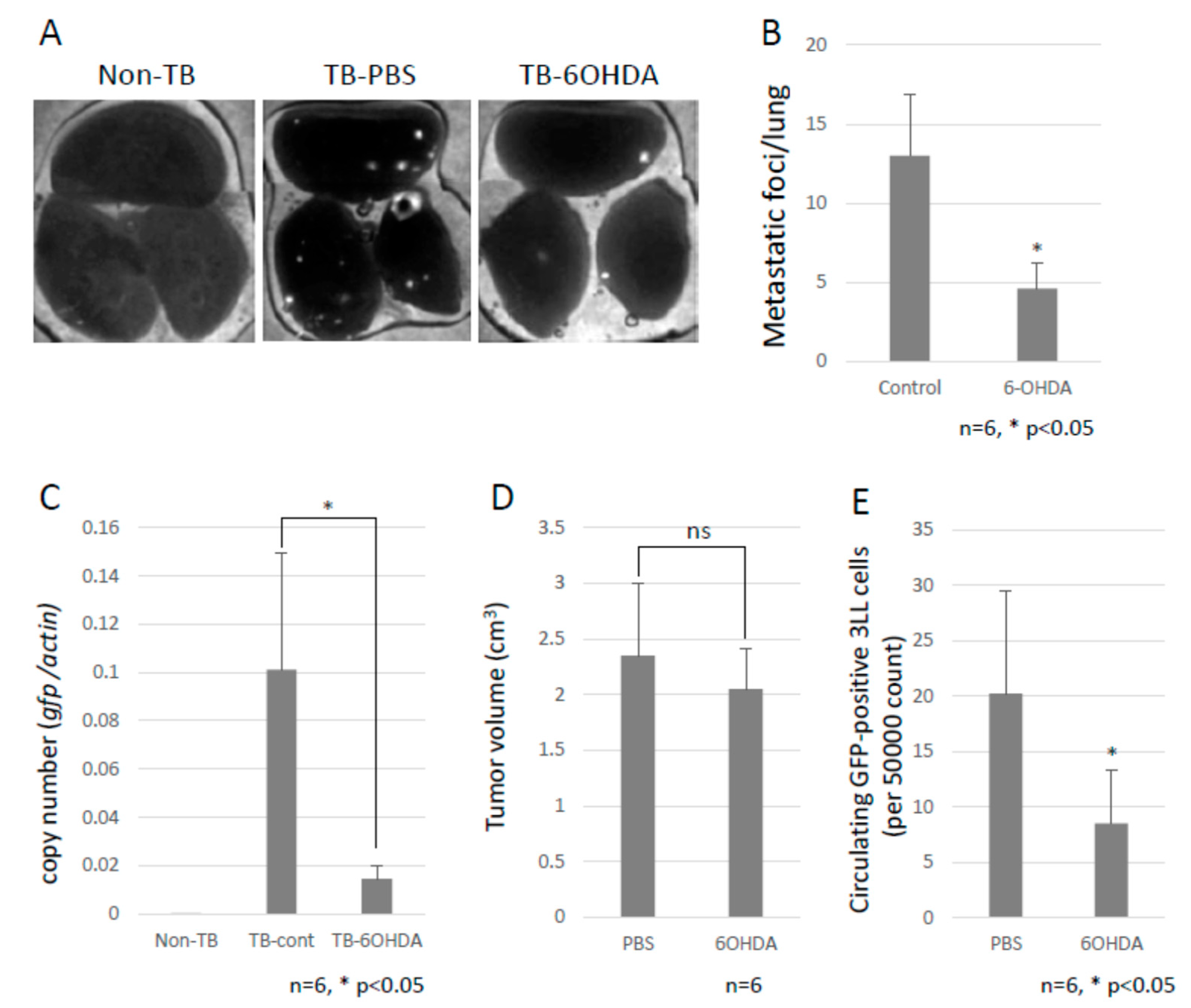 Ijms 23 10652 g002 550