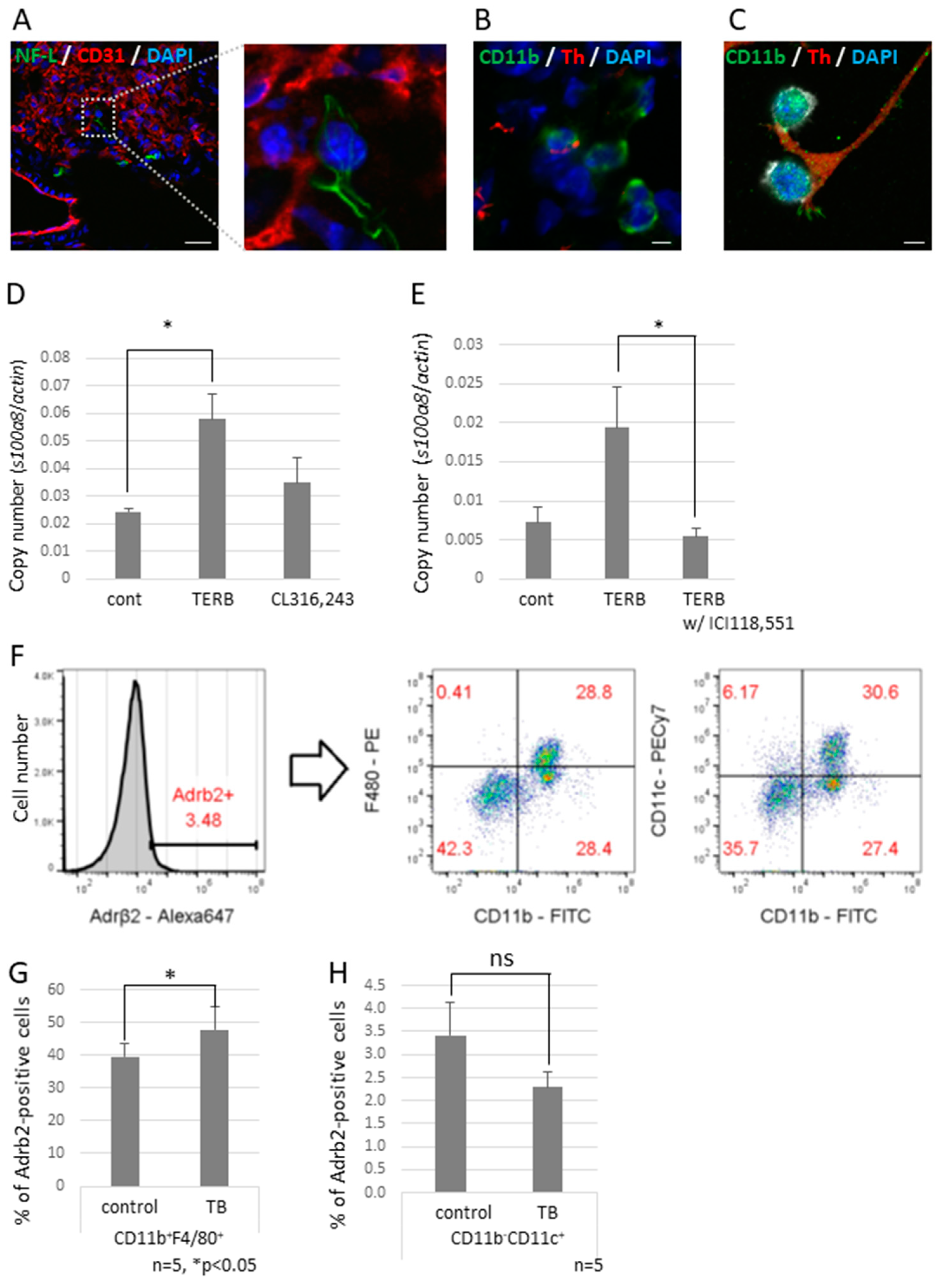 Ijms 23 10652 g005 550