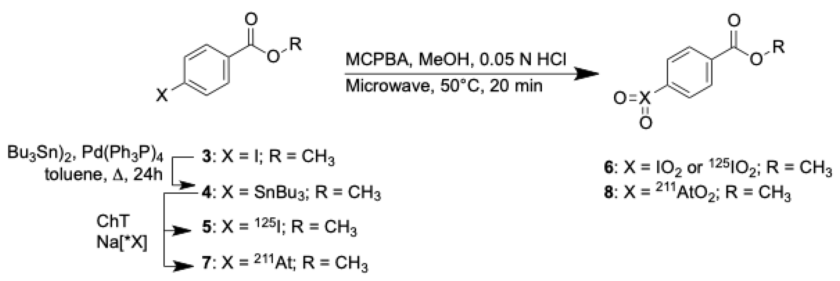 Ijms 23 10655 g002 550