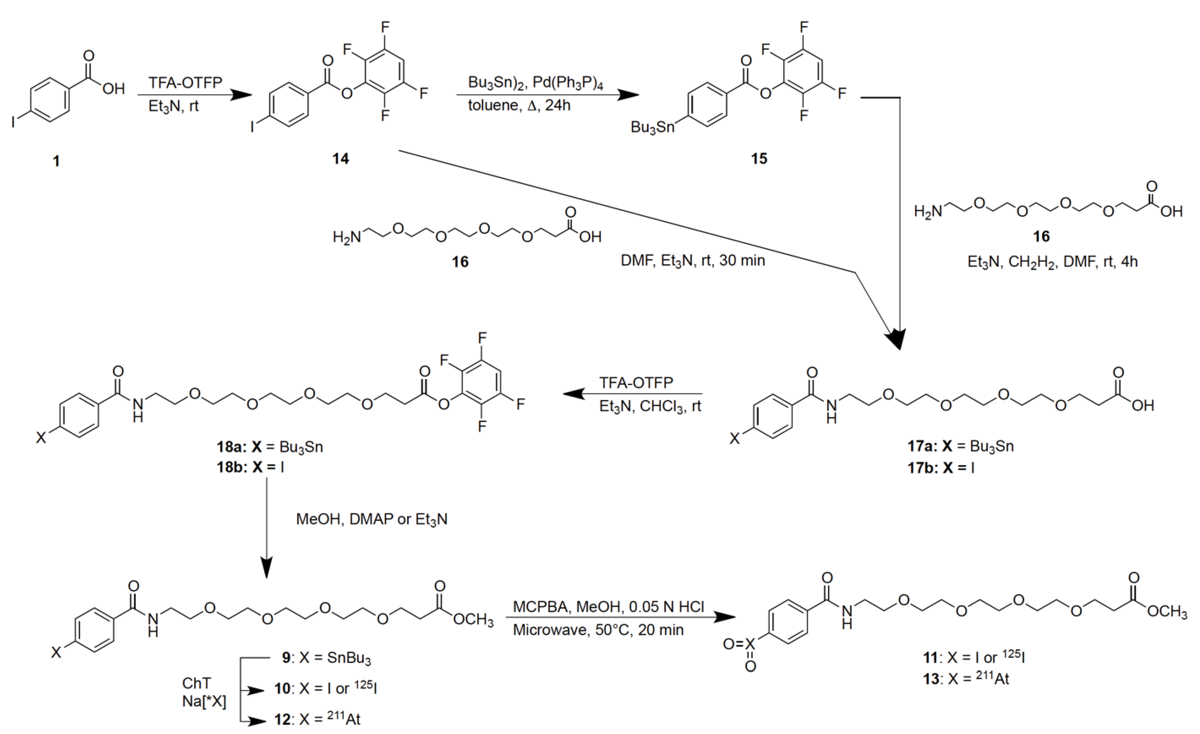 Ijms 23 10655 g003 550