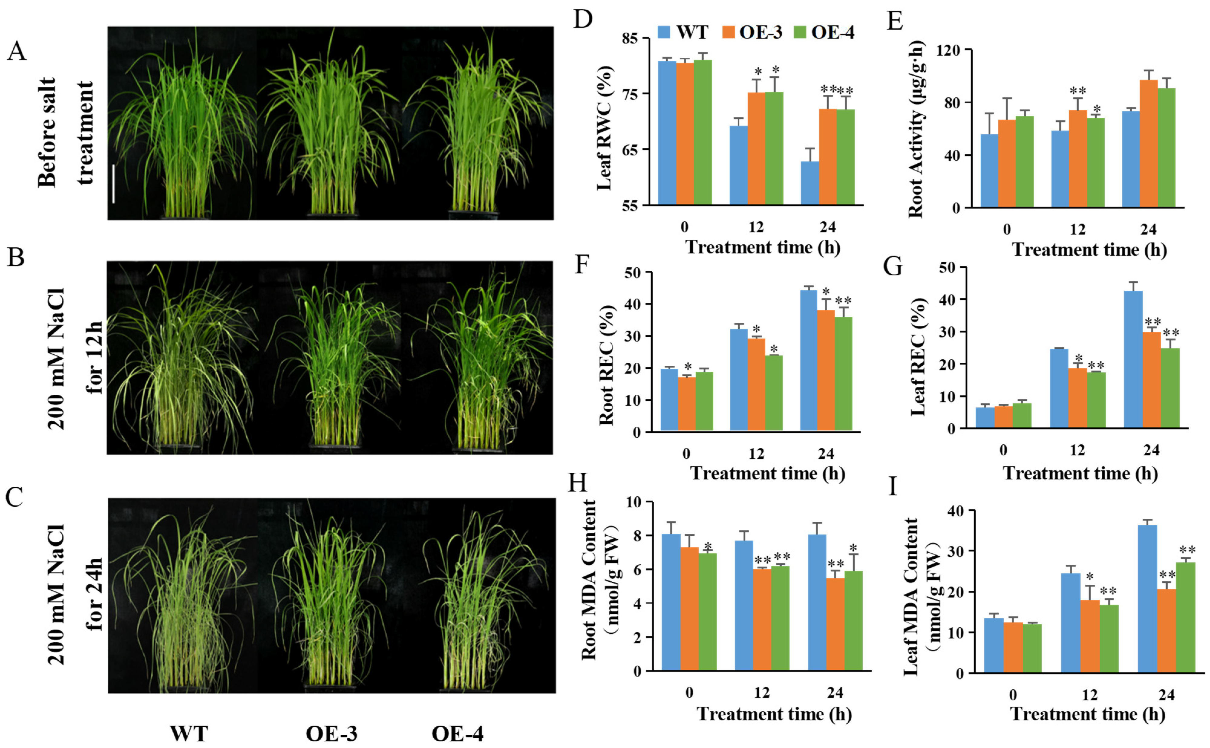 Ijms 23 10656 g001 550