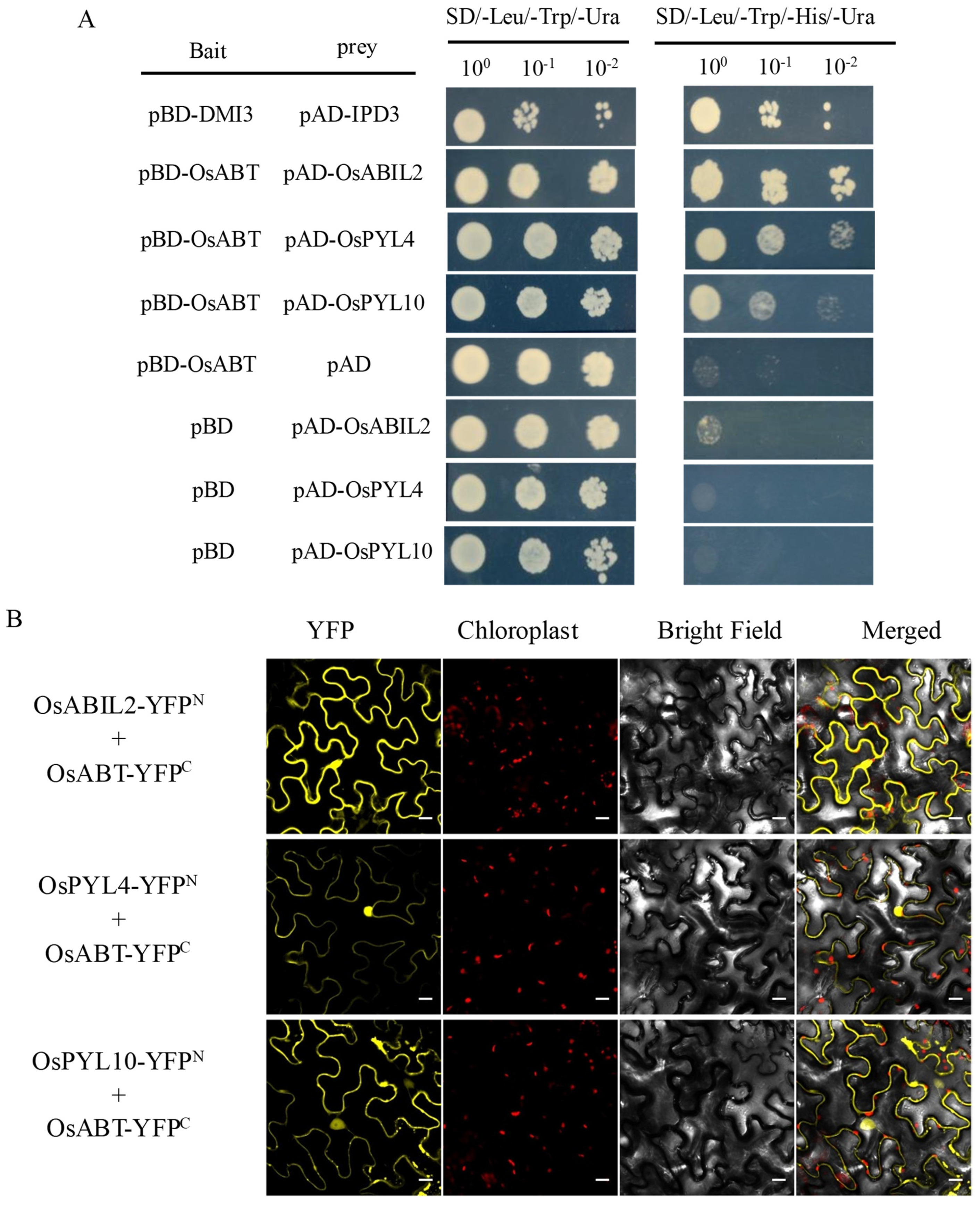 Ijms 23 10656 g005 550