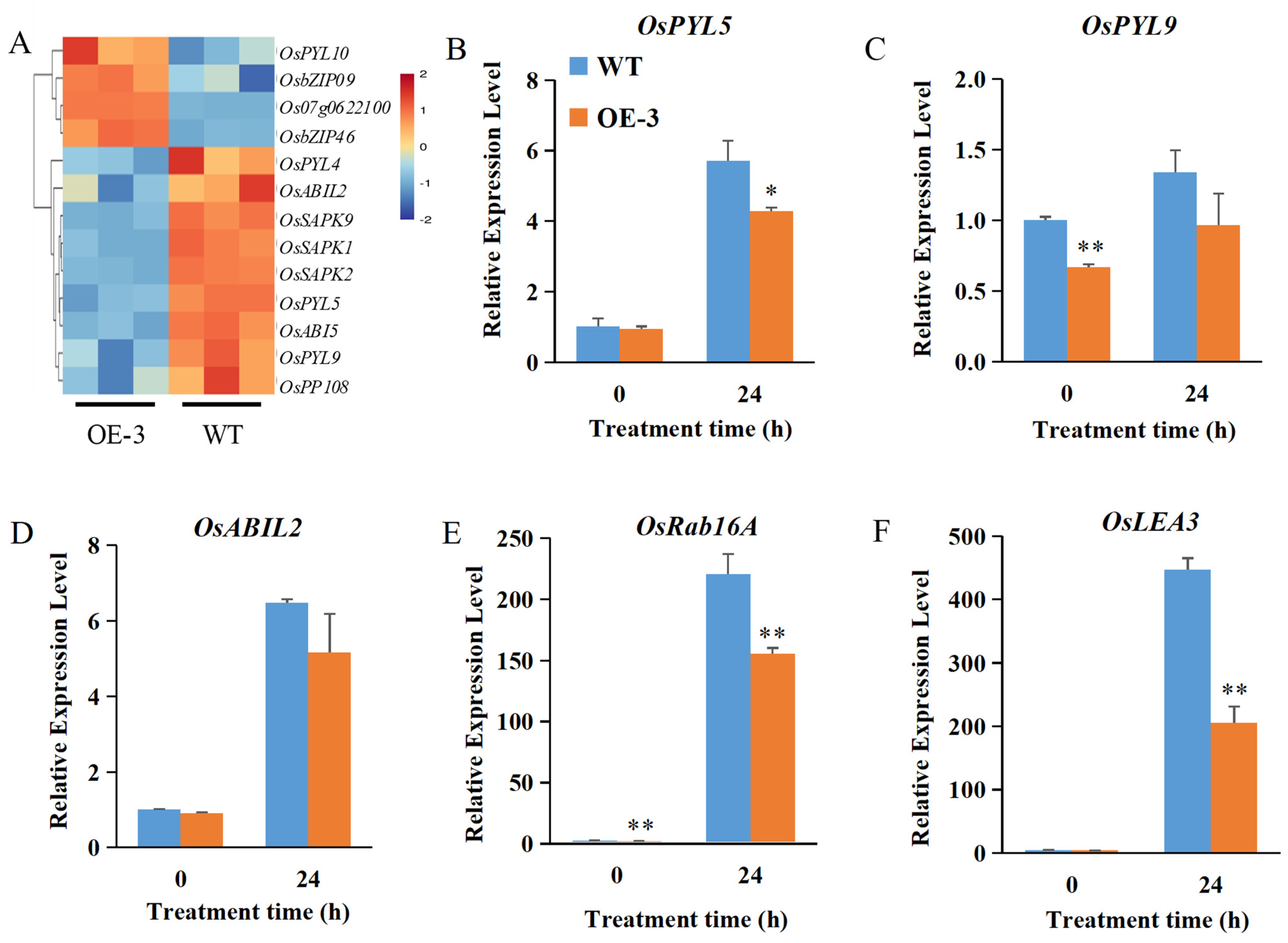 Ijms 23 10656 g006 550
