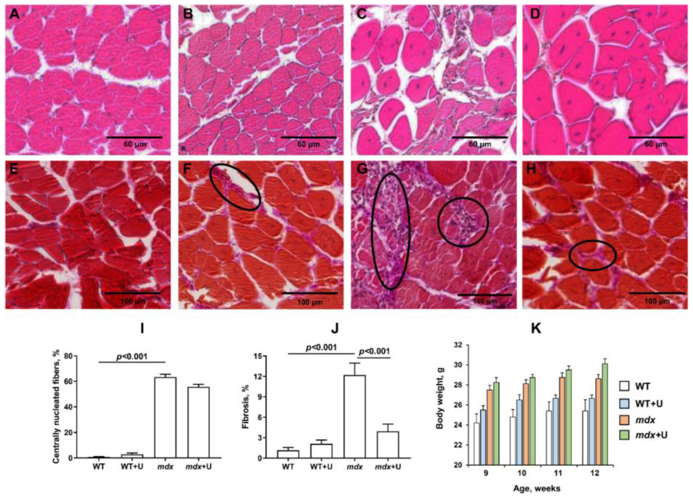 Ijms 23 10660 g003 550