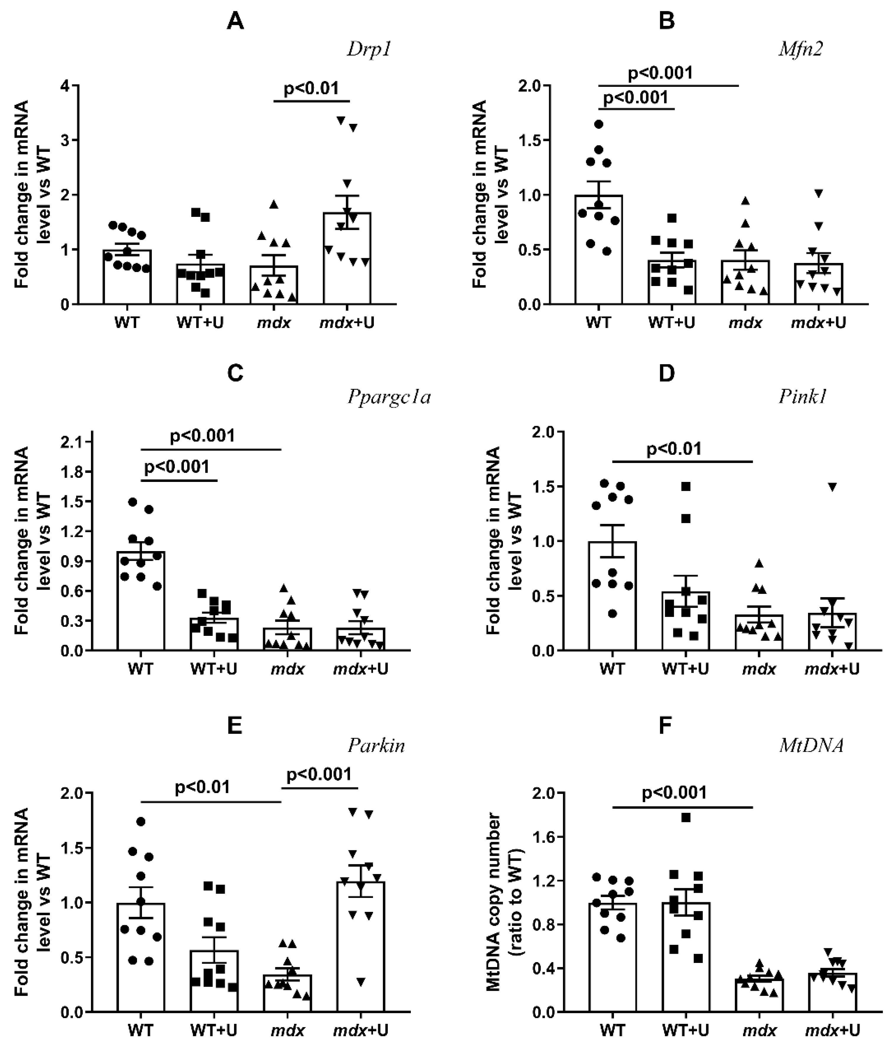Ijms 23 10660 g006 550