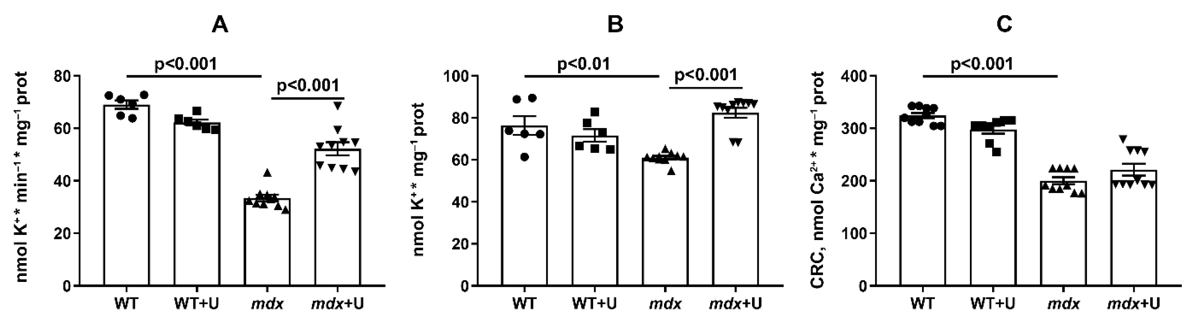 Ijms 23 10660 g008 550