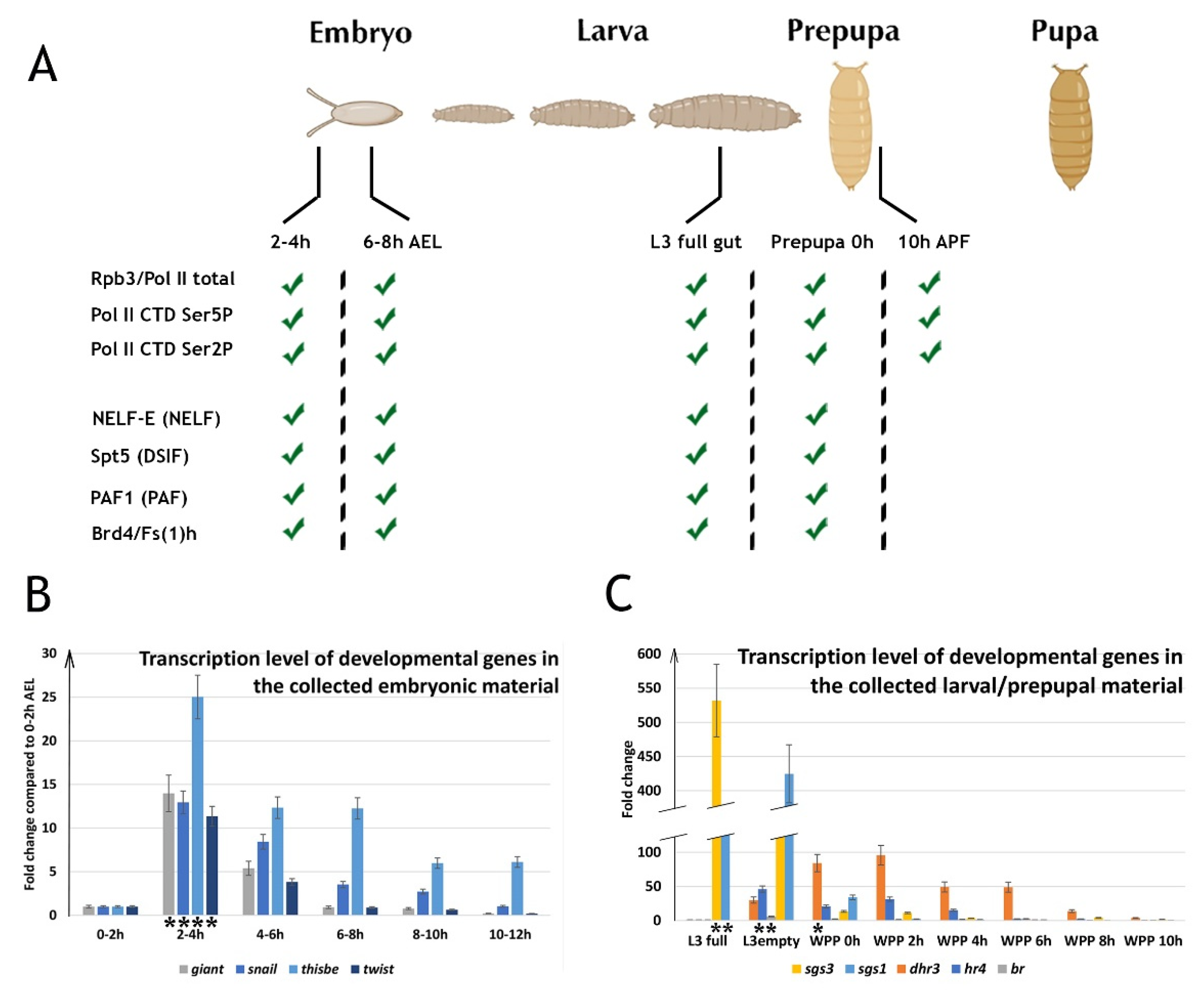 Ijms 23 10662 g001 550