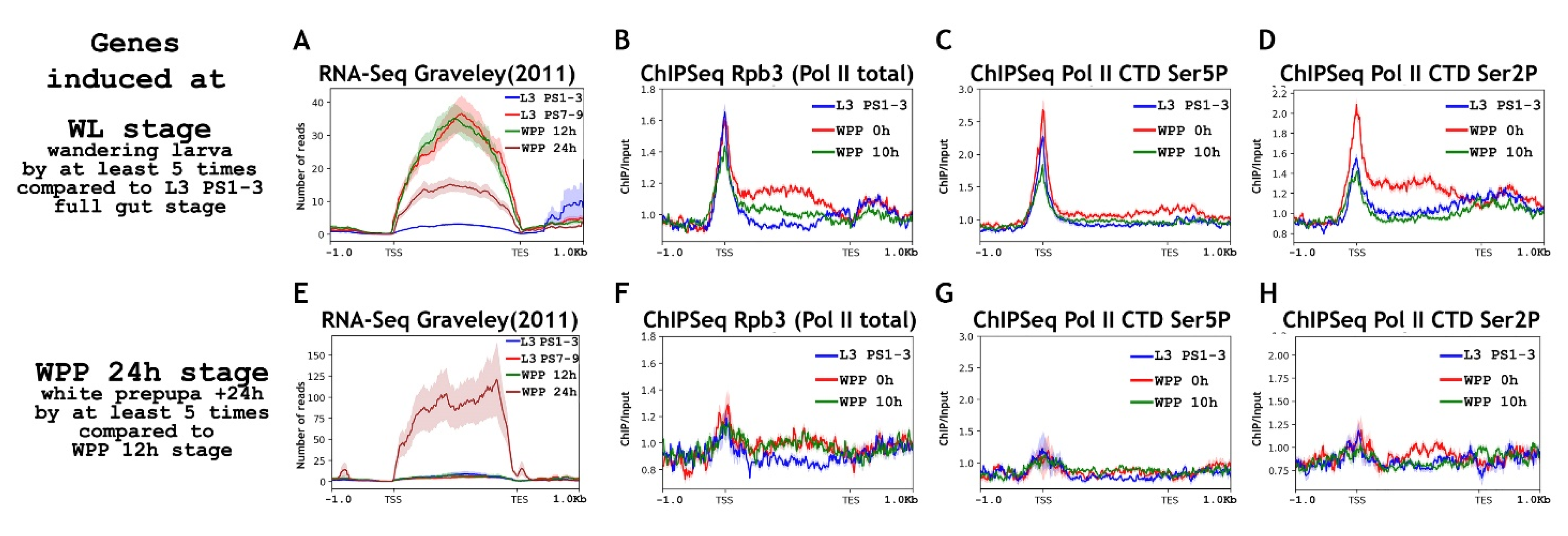 Ijms 23 10662 g005 550